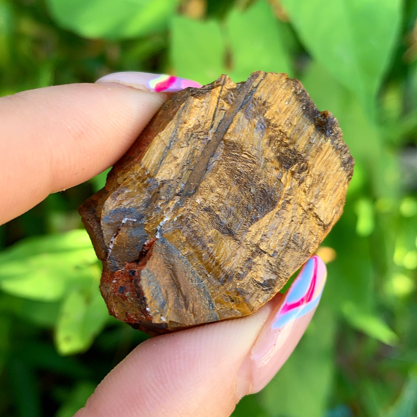 Tigers Eye Rough Raw Crystal