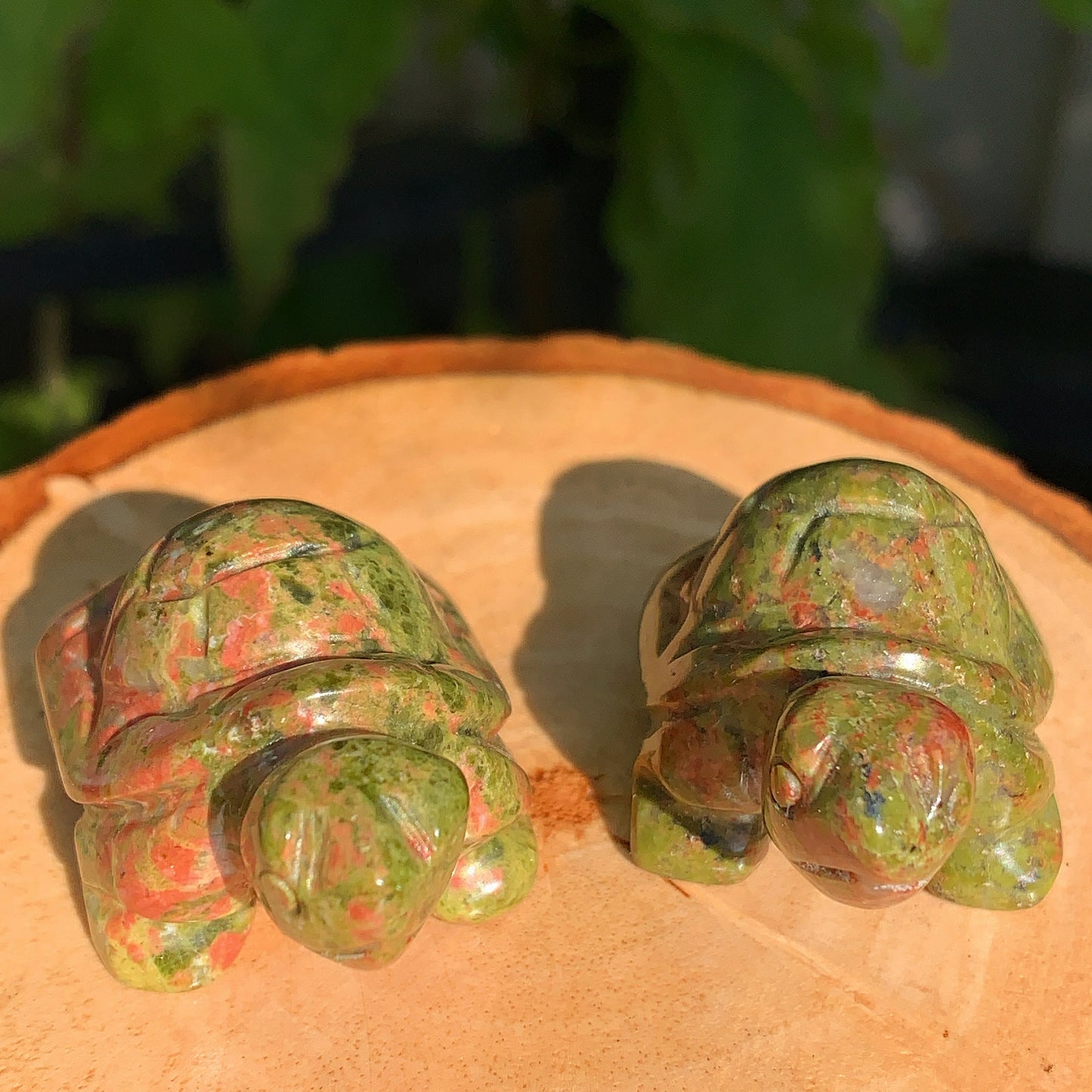 Unakite Tortoise