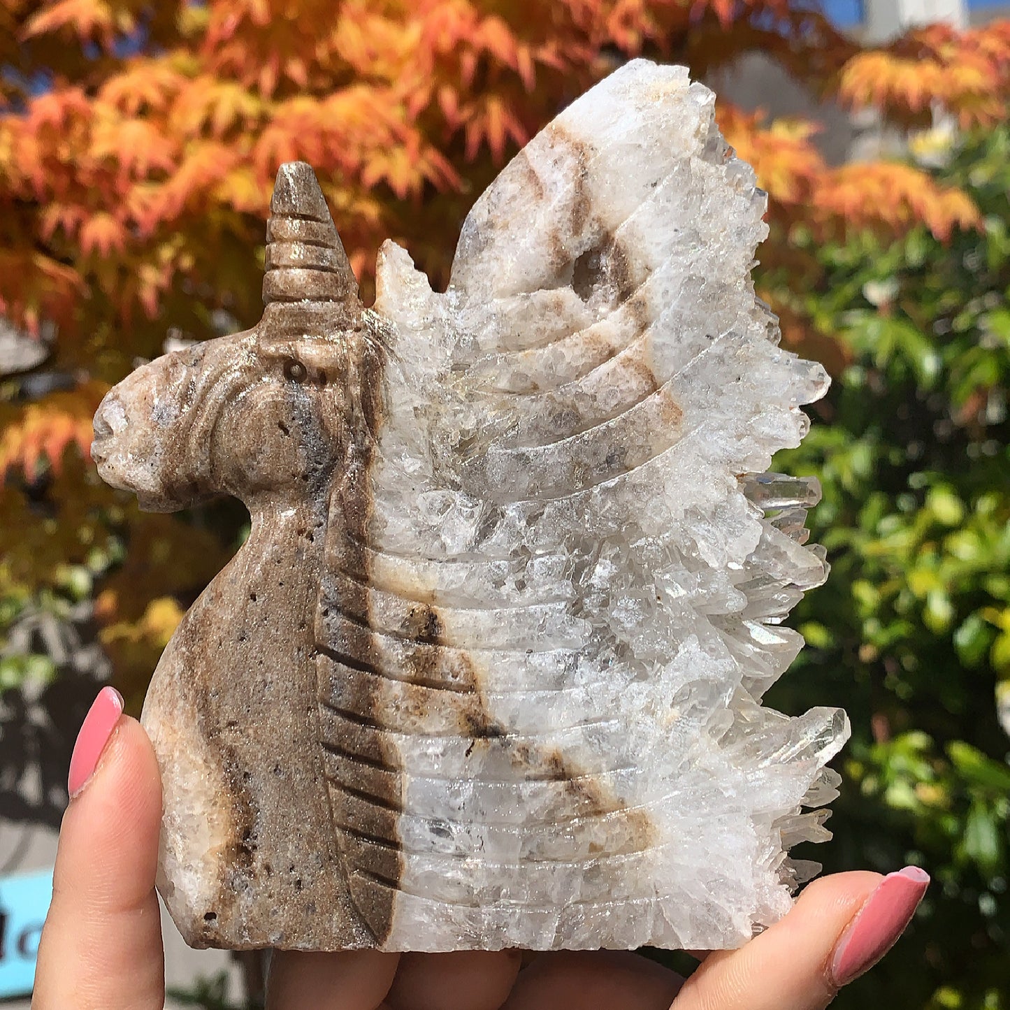 Raw Clear Quartz Unicorn