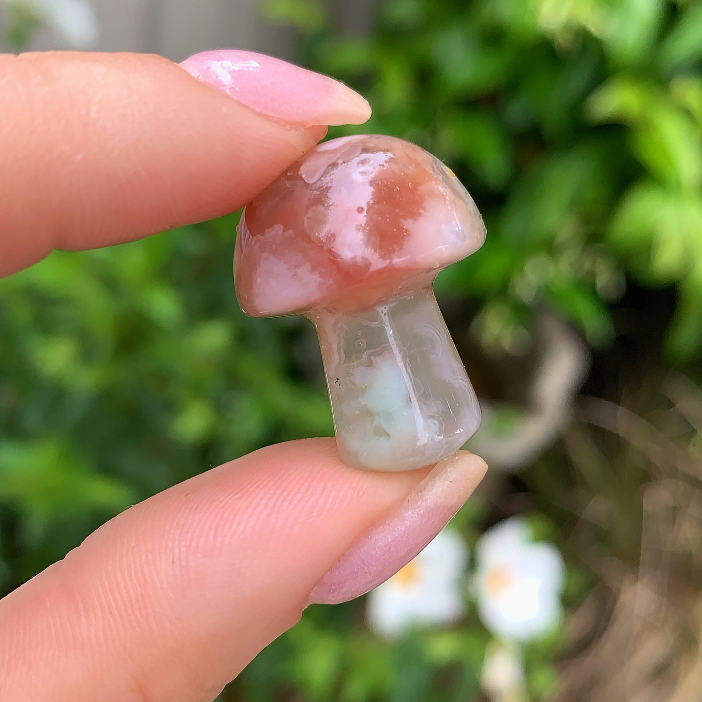 Coral Jade Mushroom