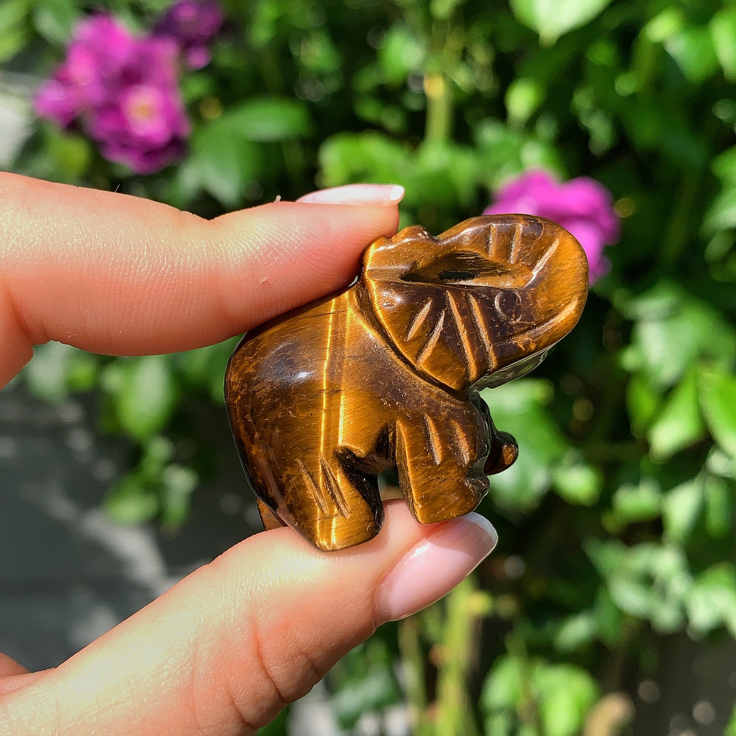 Tigers Eye Elephant