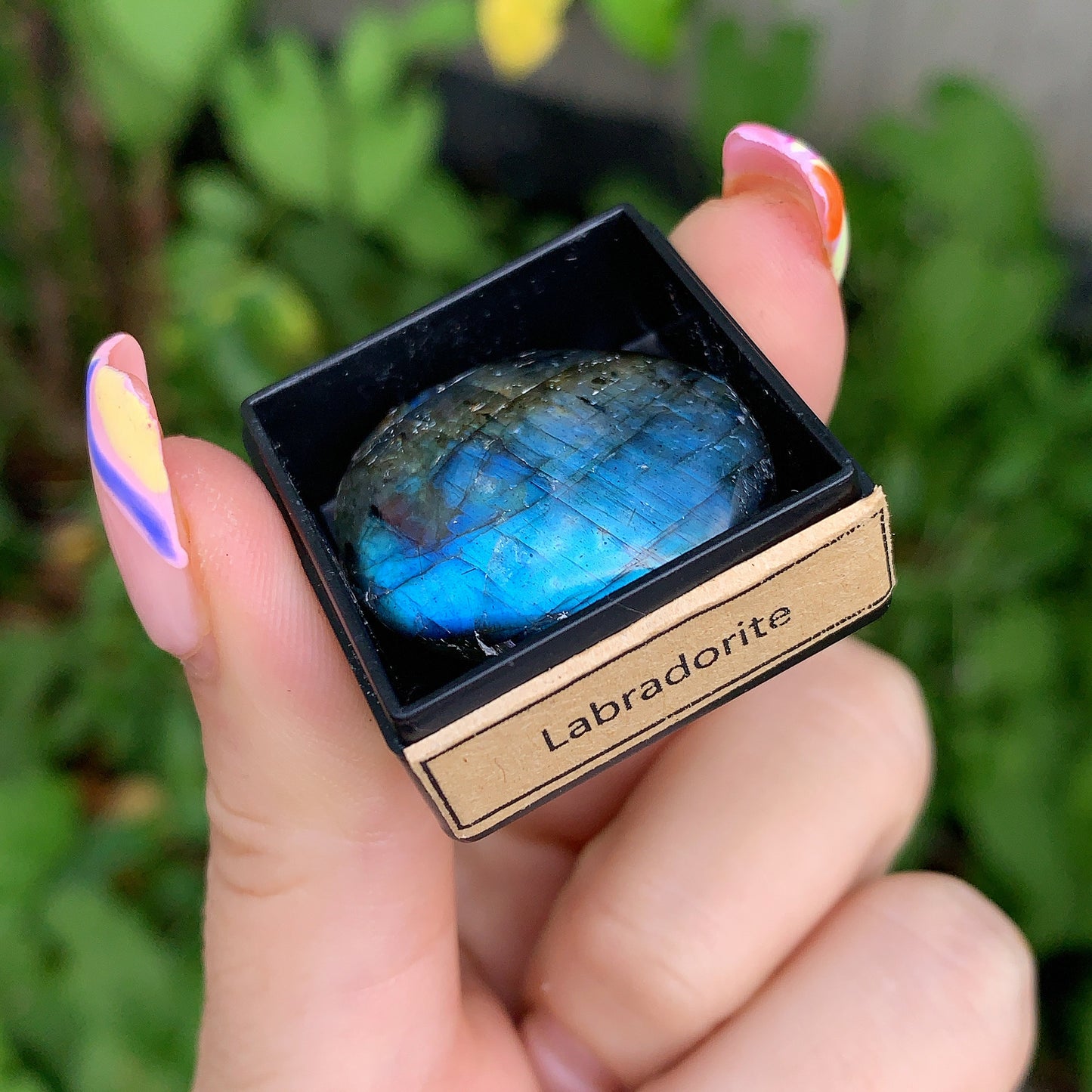 Ancient Specimen Fossil & Crystal Gift Box