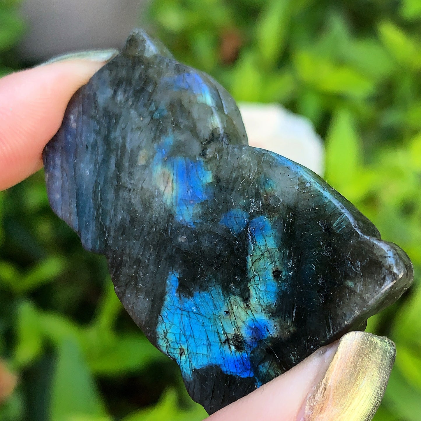 Hand Carved Labradorite Owl