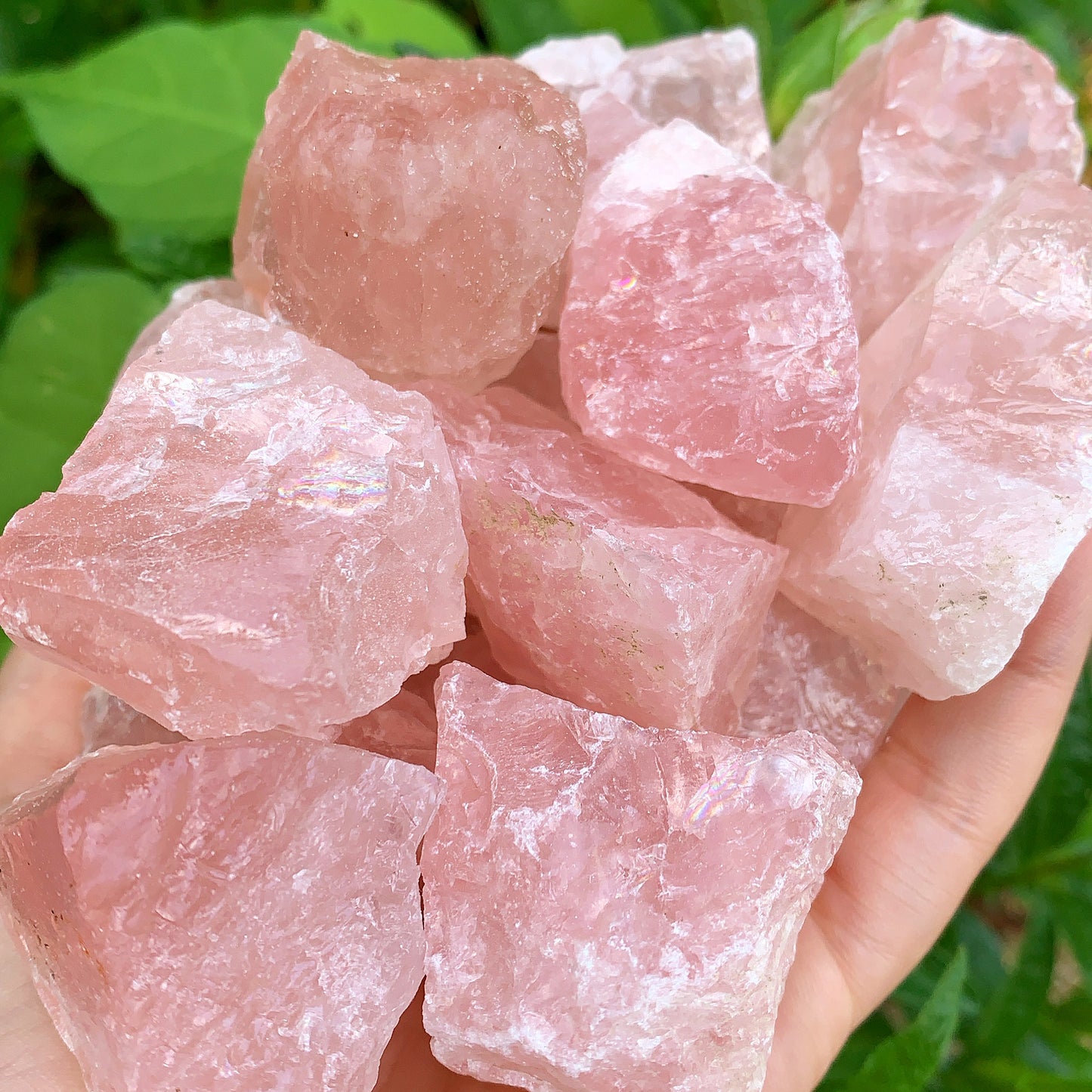 Rose Quartz Rough Raw Crystal