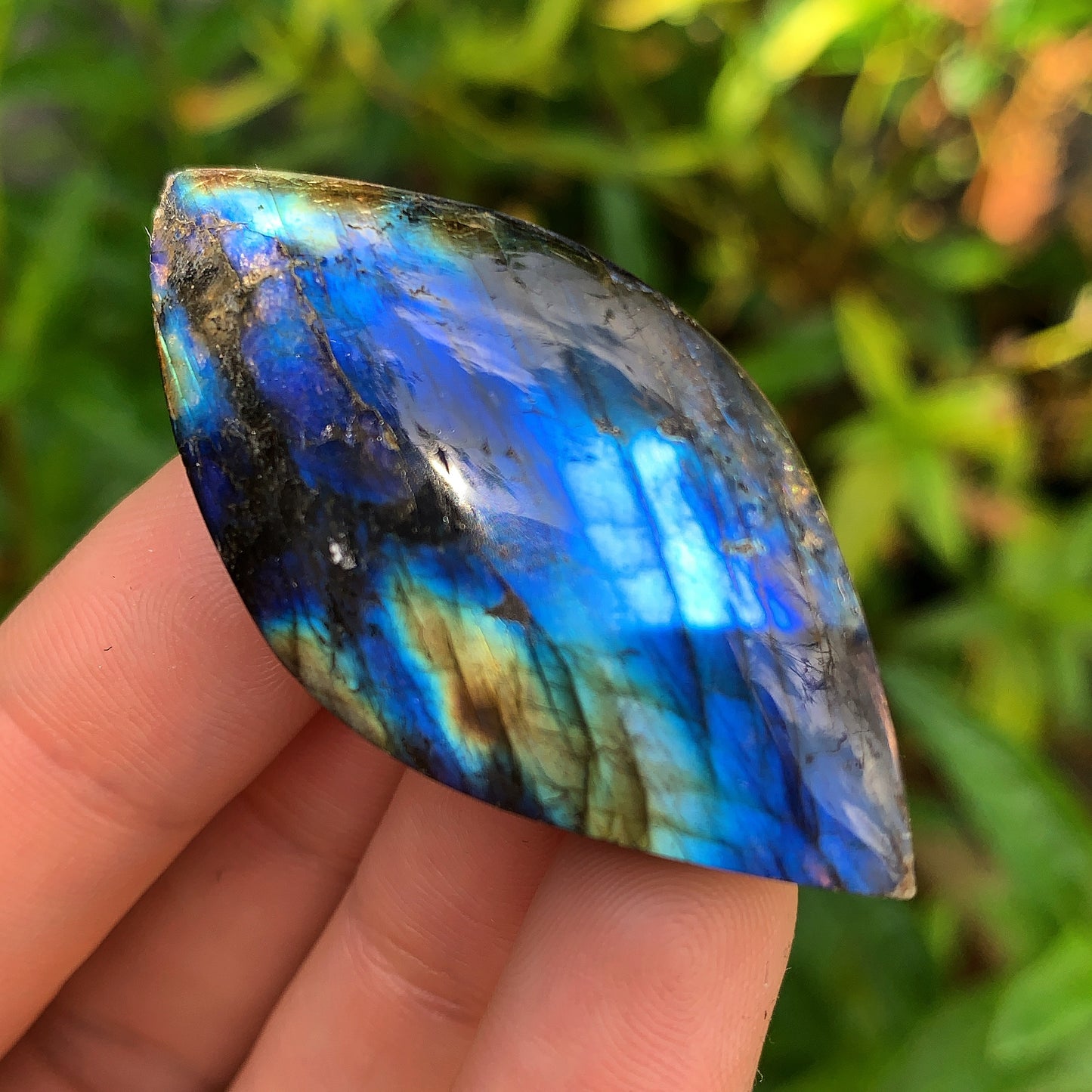 Labradorite Leaf