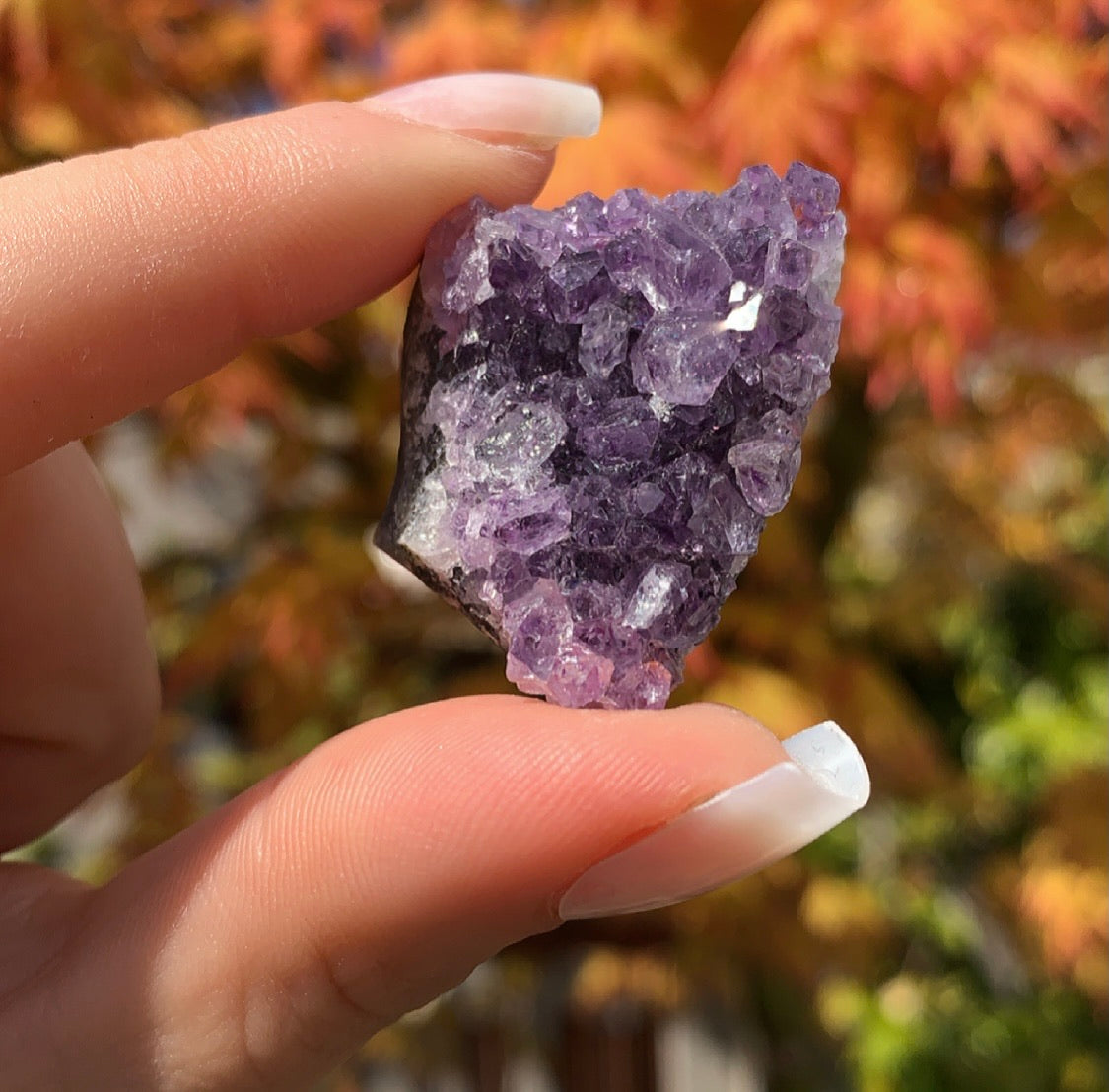 Raw Amethyst Mini Cluster