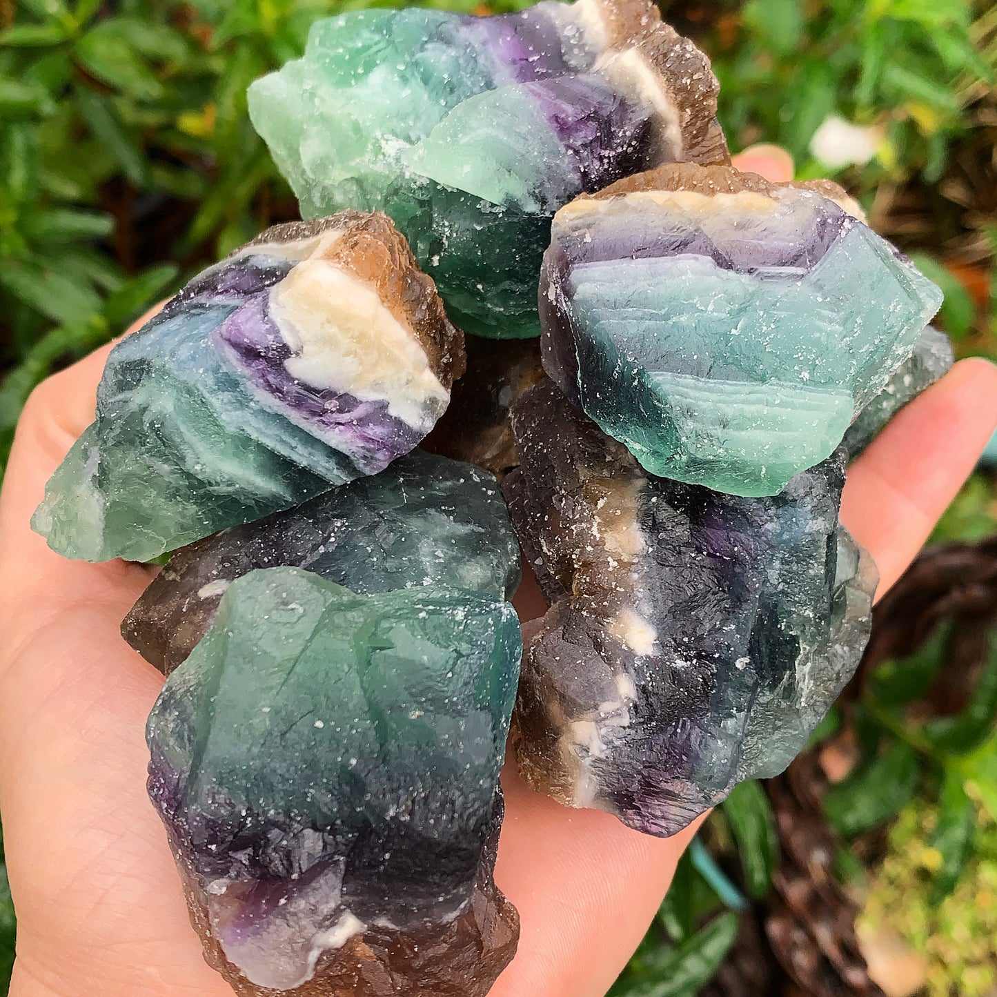 Rainbow Fluorite Rough Chunks