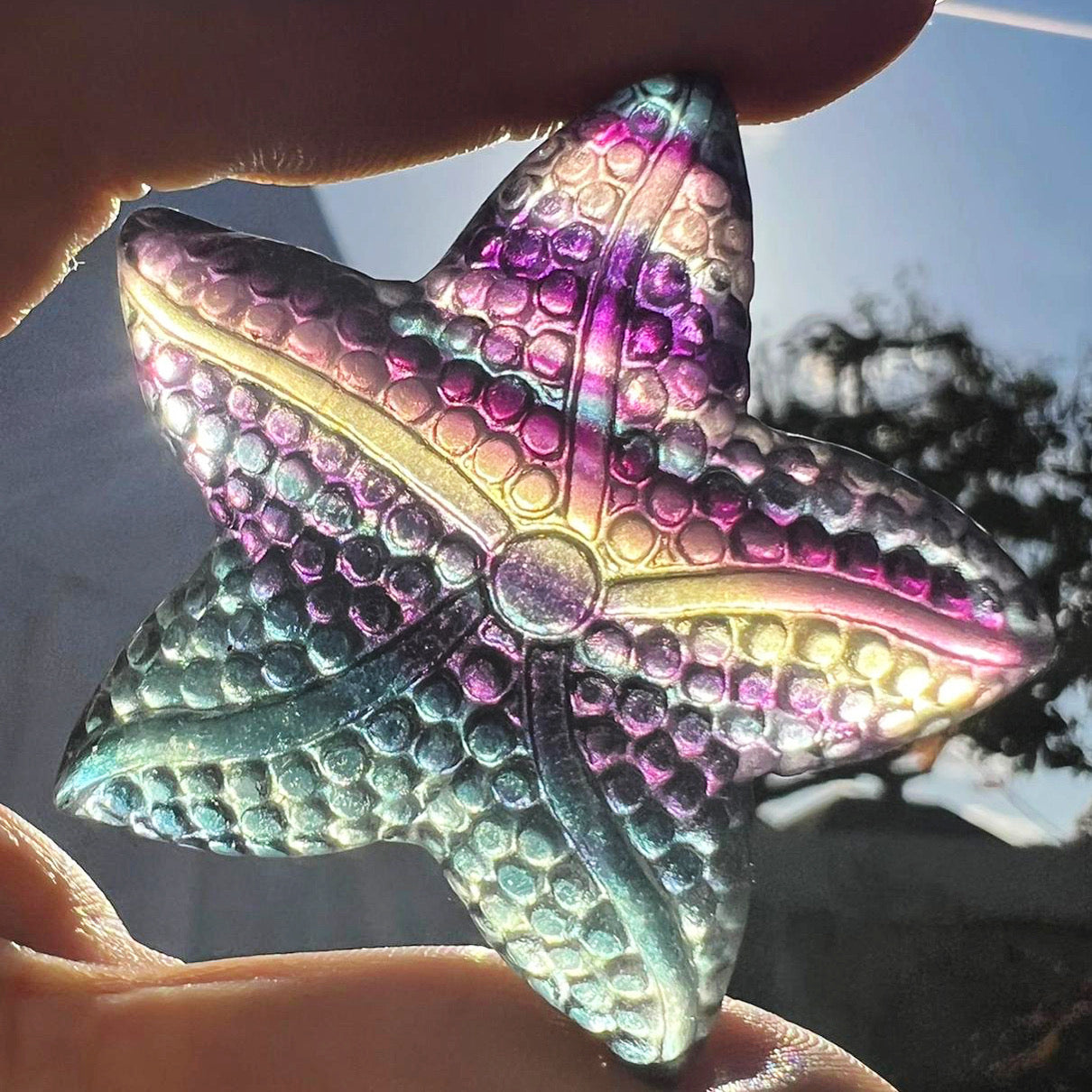 Hand Carved Rainbow Fluorite Starfish