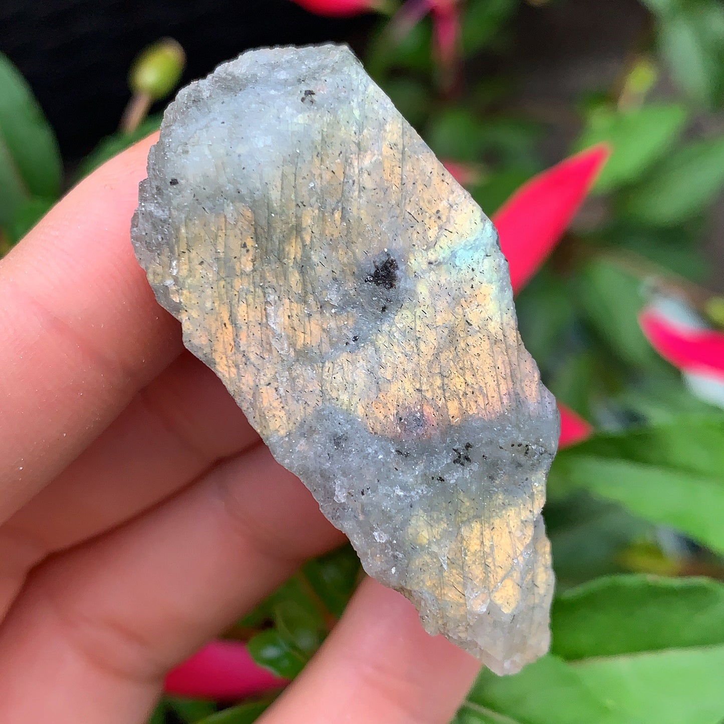 Labradorite Rough Crystal