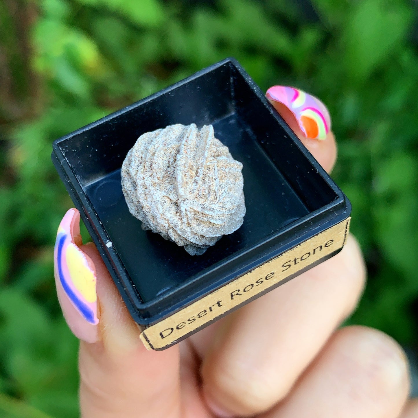Ancient Specimen Fossil & Crystal Gift Box