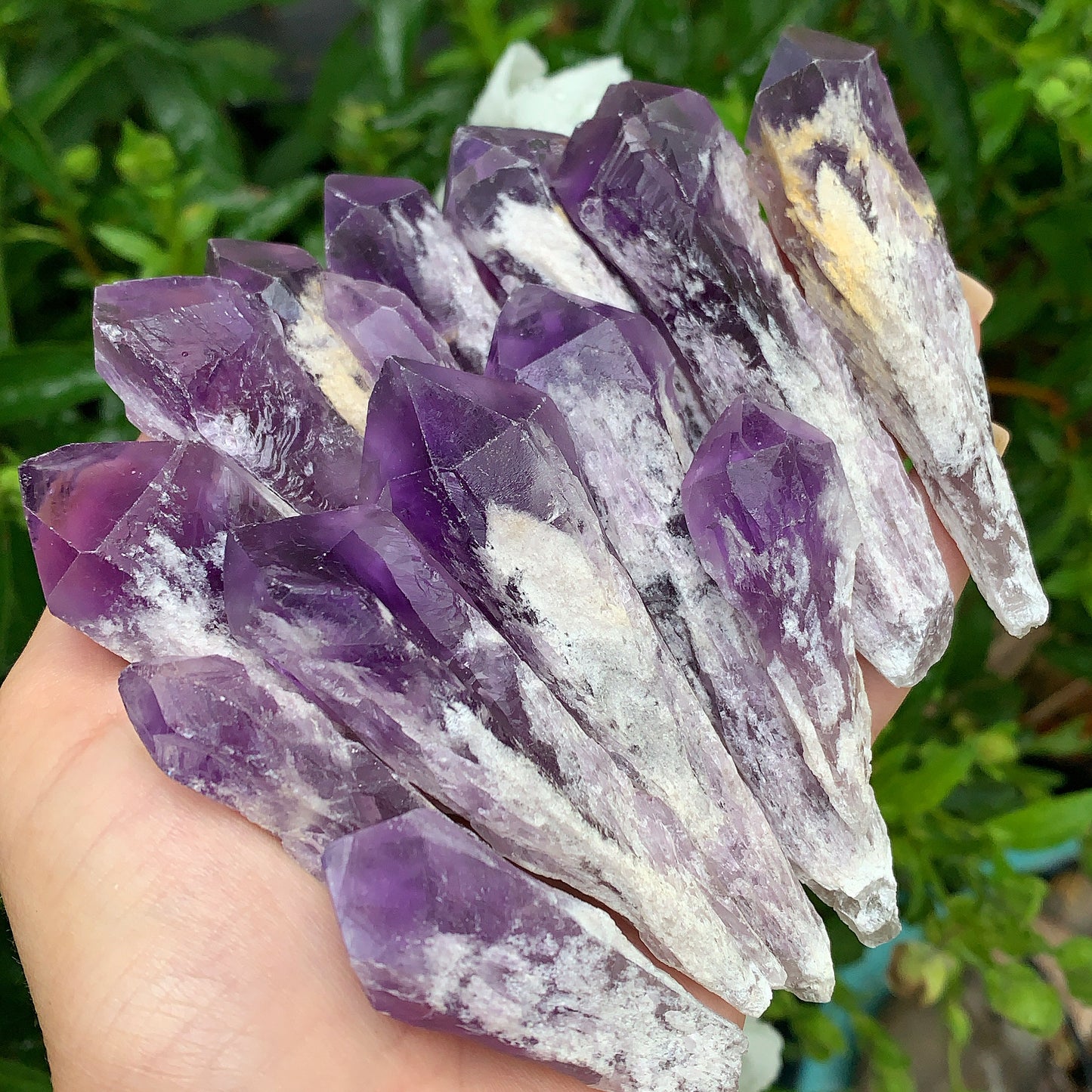 Raw Amethyst Shards