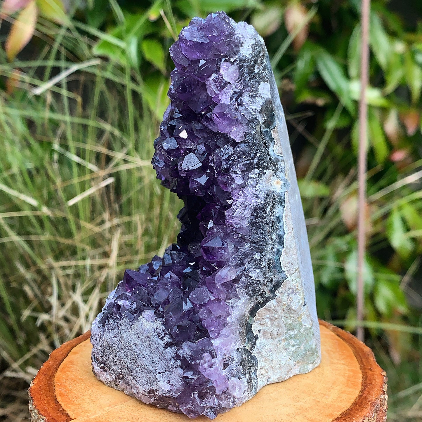Uruguayan Amethyst Cluster #6