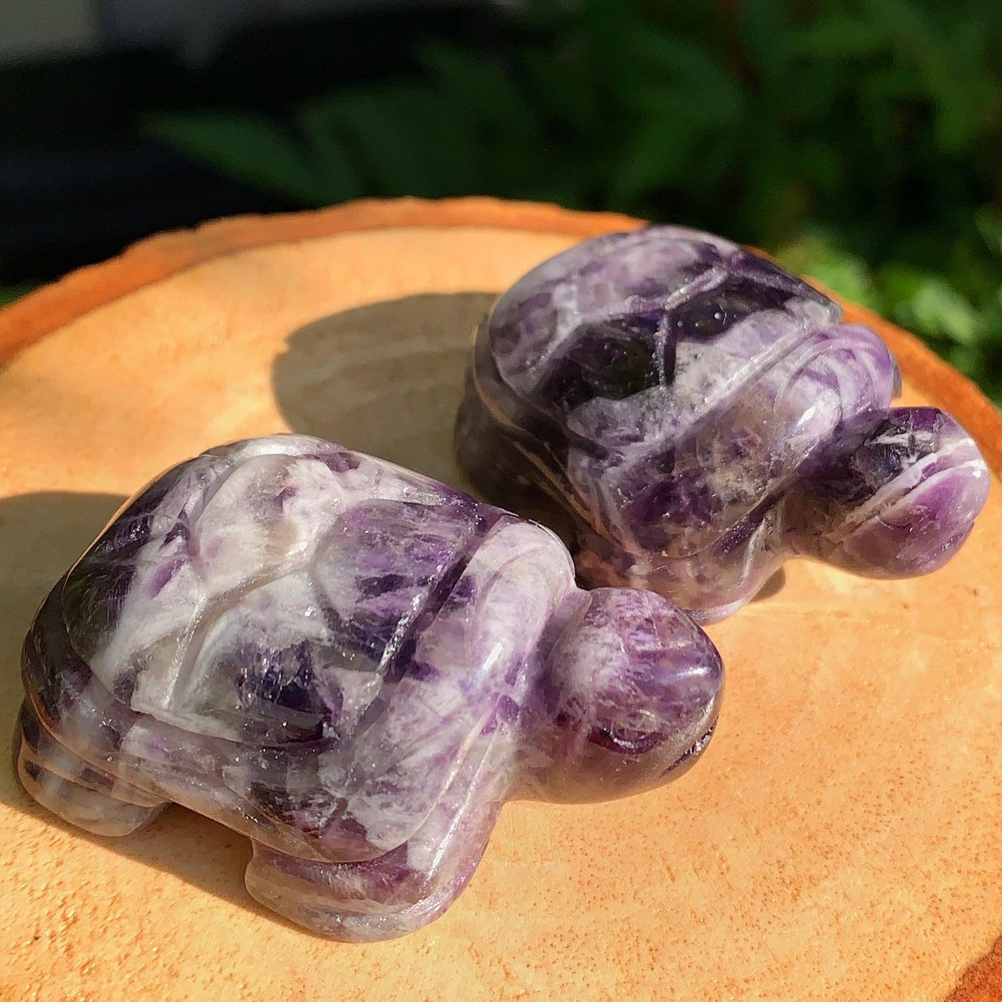 Amethyst Tortoise