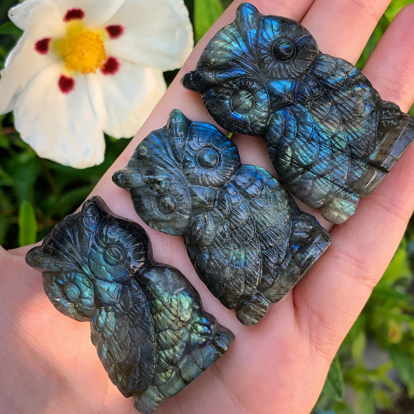 Hand Carved Labradorite Owl