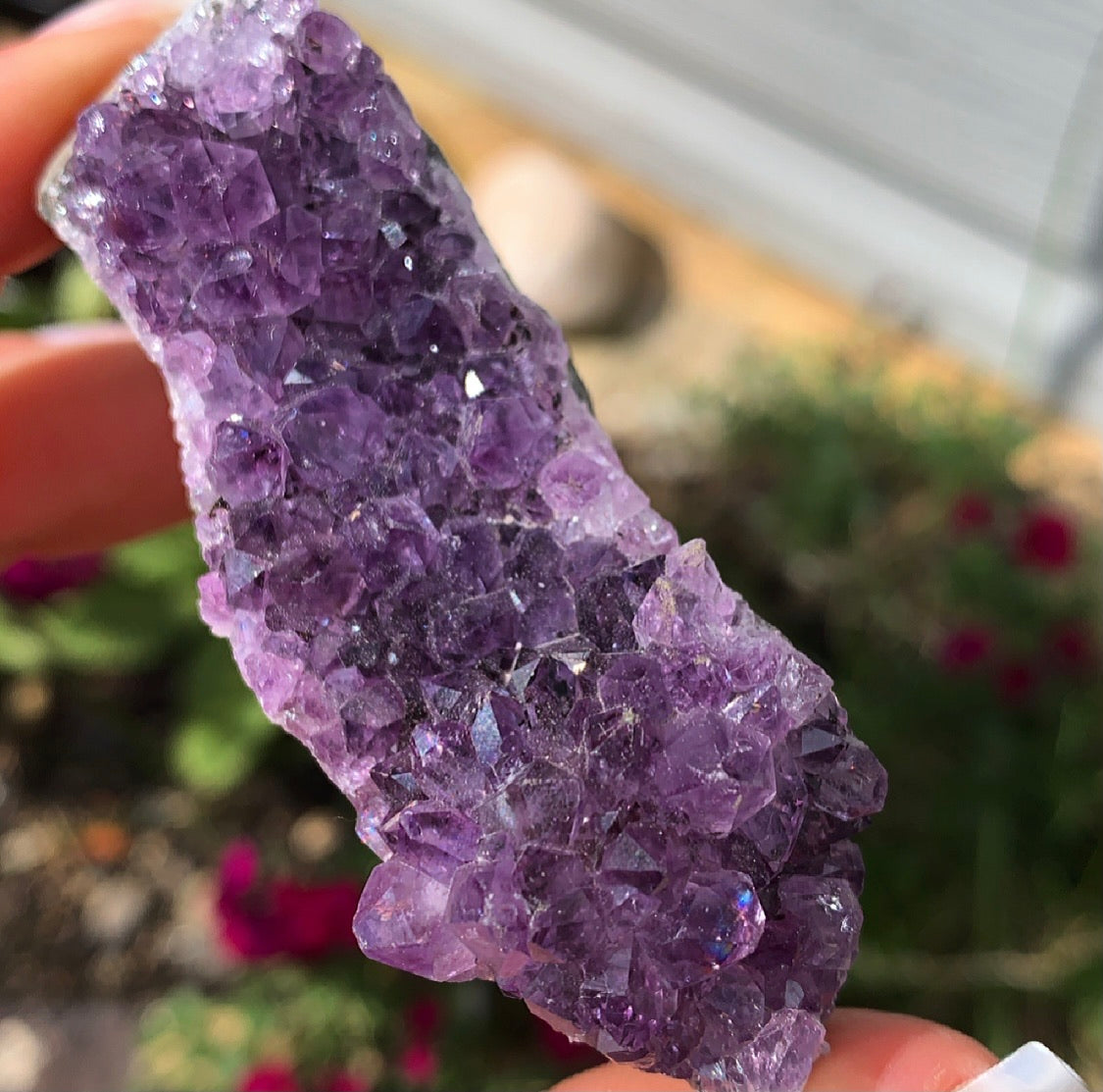 Raw Amethyst Cluster