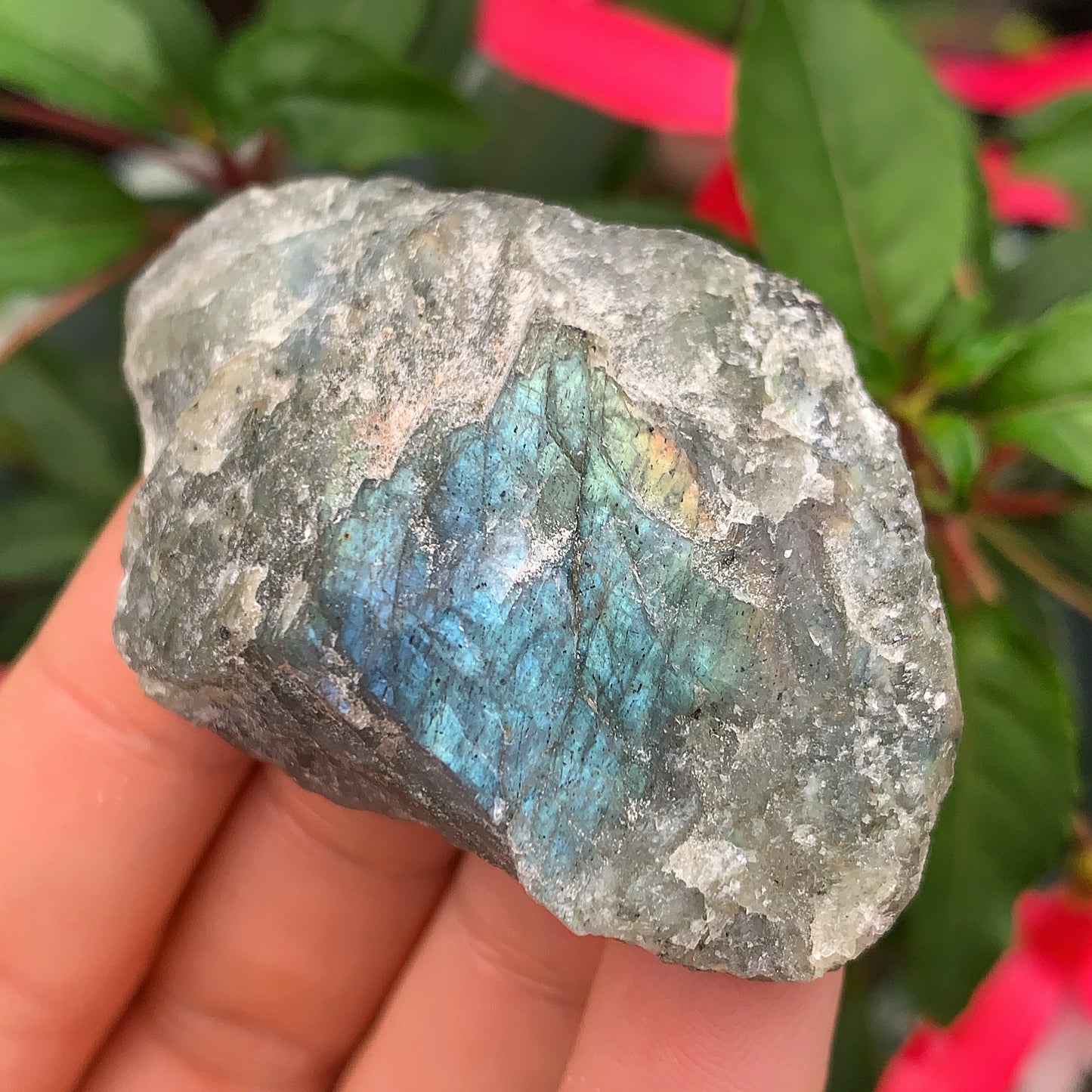 Labradorite Rough Crystal