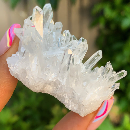 Enchanting Clear Quartz Mini Cluster