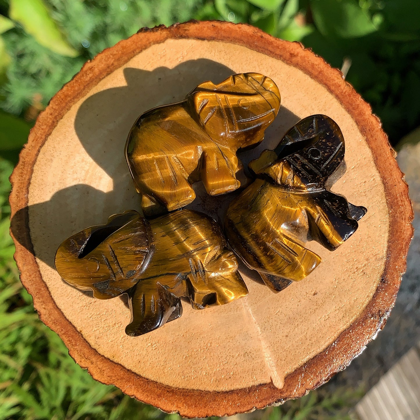 Tigers Eye Elephant