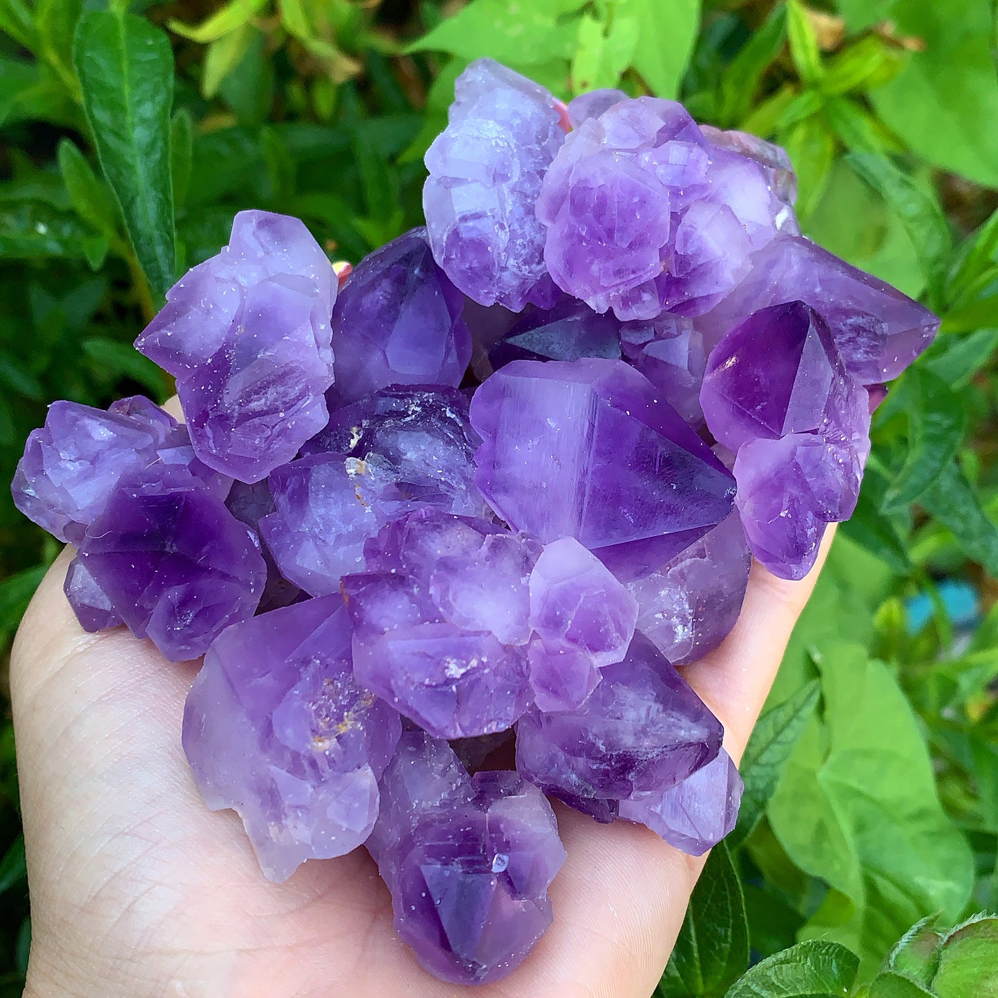 Amethyst Rough Point Clusters