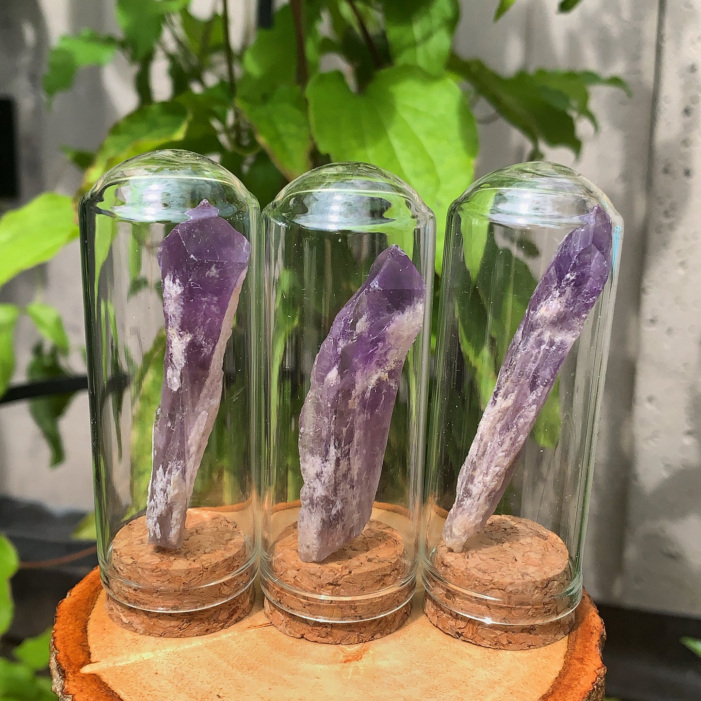 Raw Amethyst Crystal Encased