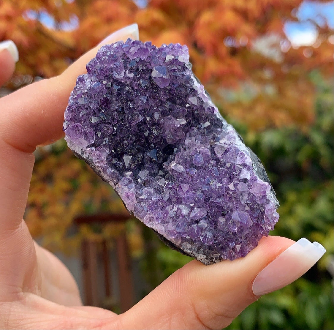 Raw Amethyst Cluster