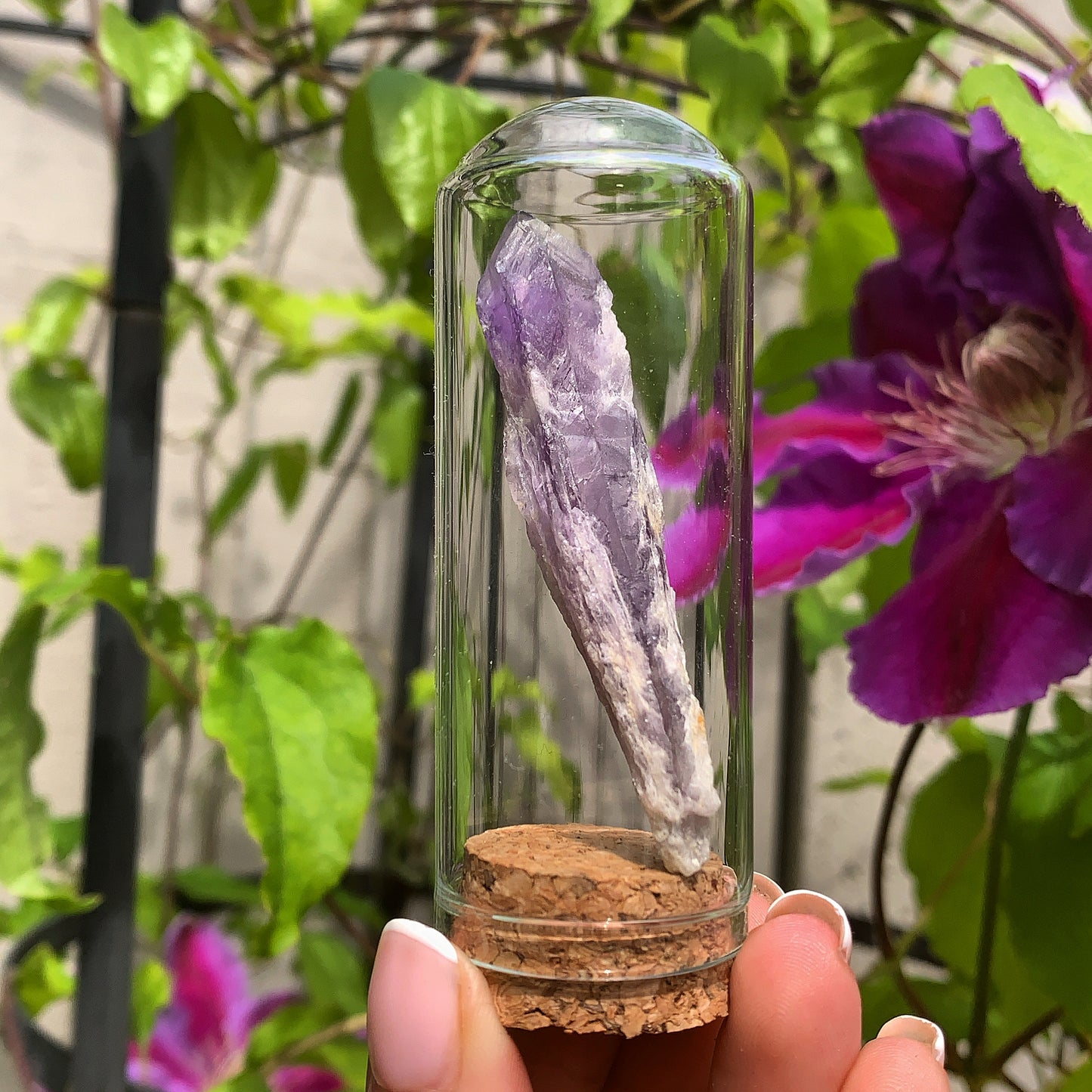 Raw Amethyst Crystal Encased