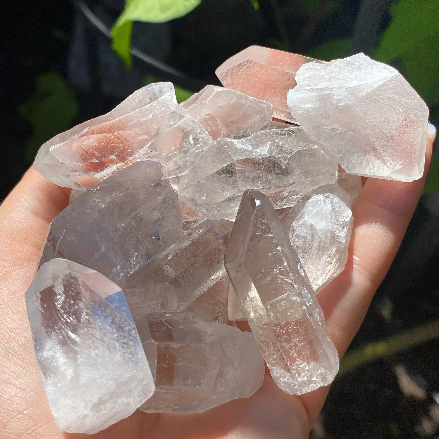 Clear Quartz Raw Crystal Points