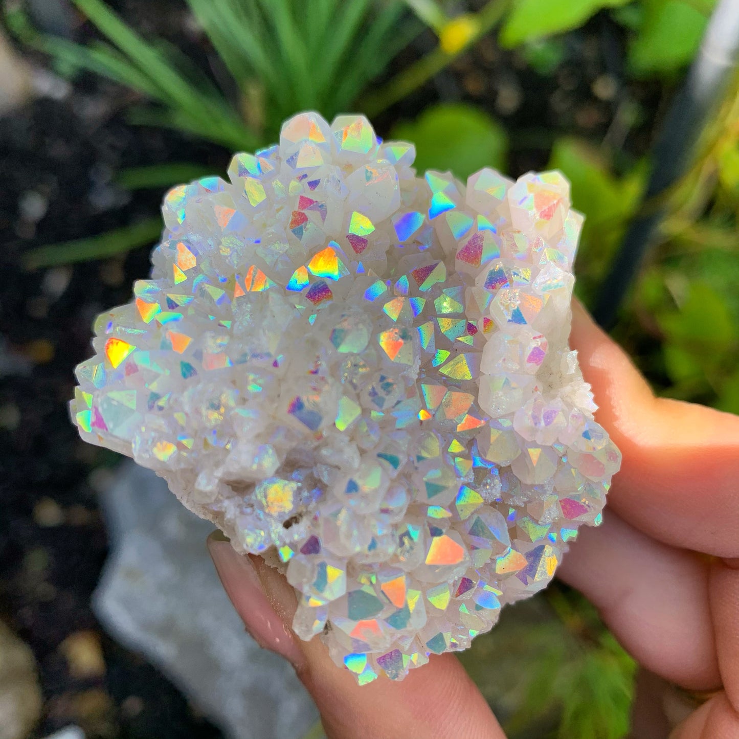 Angel Aura Quartz Cluster