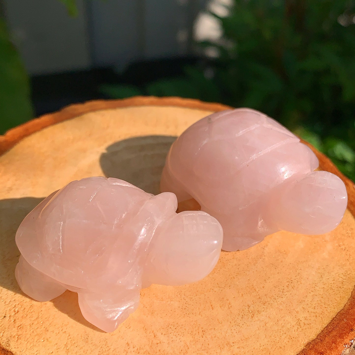 Rose Quartz Tortoise