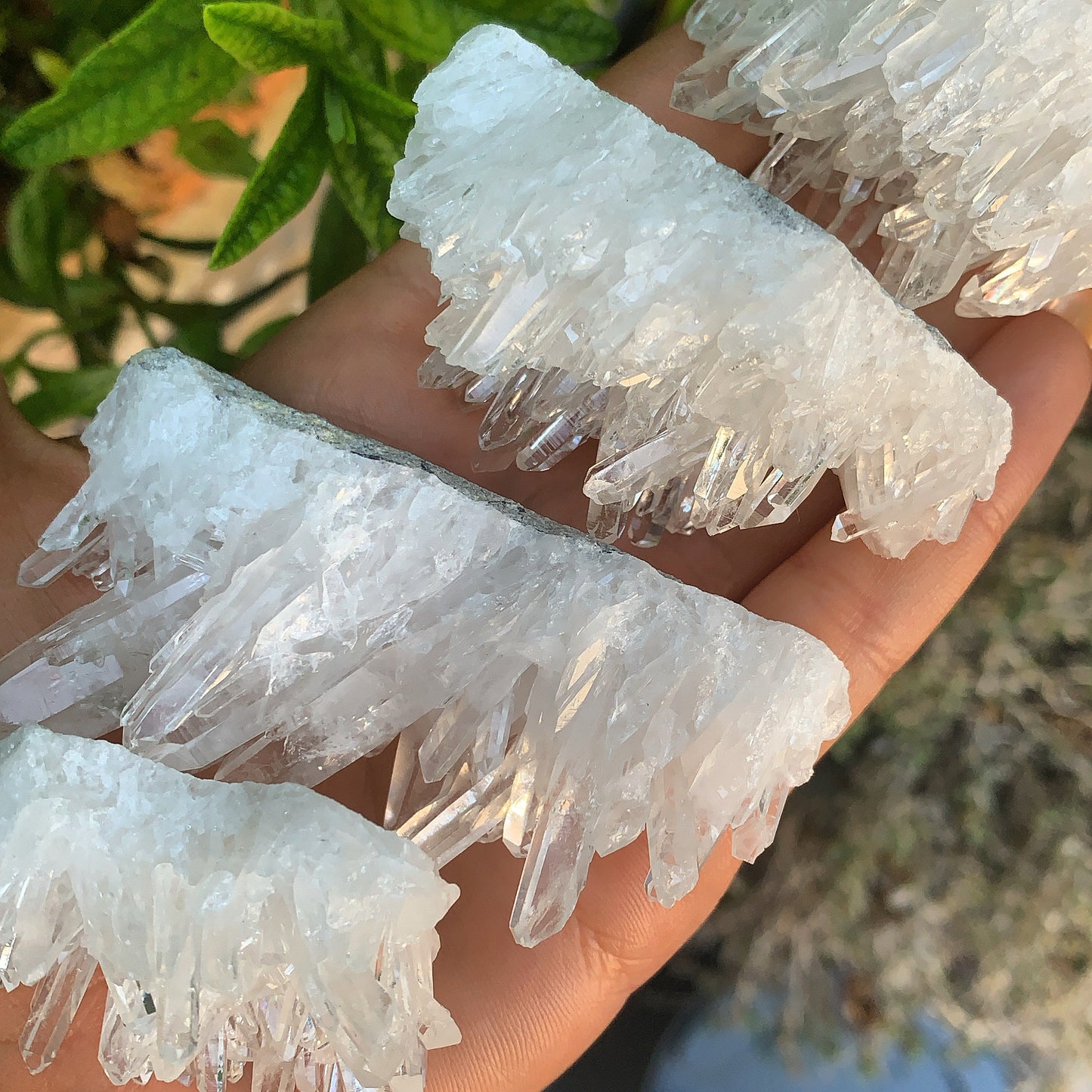 Enchanting Clear Quartz Mini Cluster