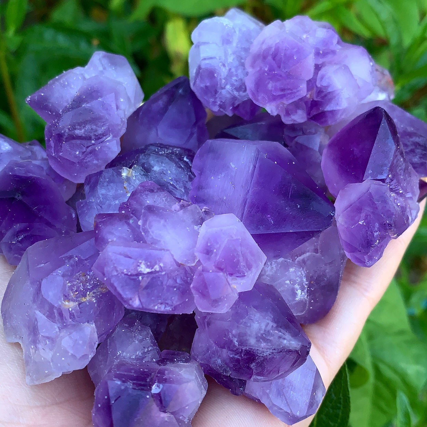 Amethyst Rough Point Clusters
