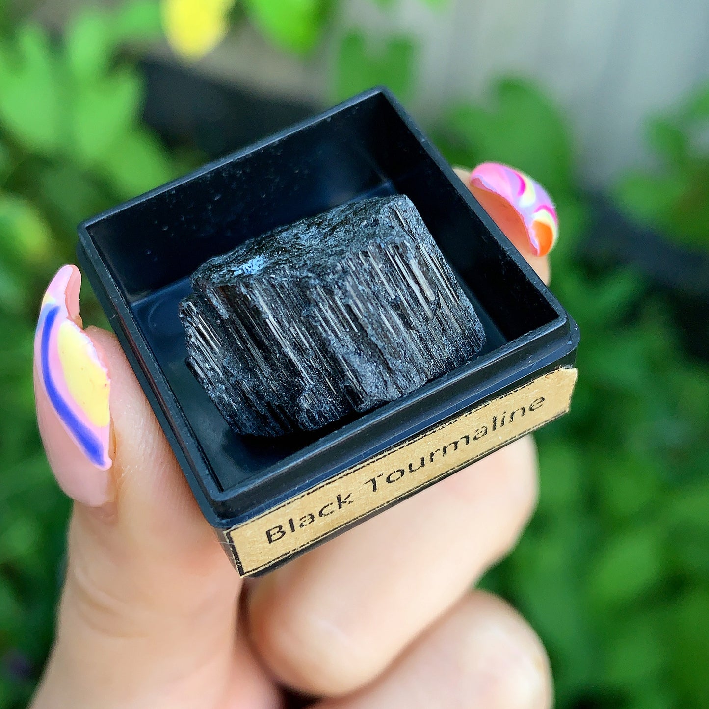 Ancient Specimen Fossil & Crystal Gift Box