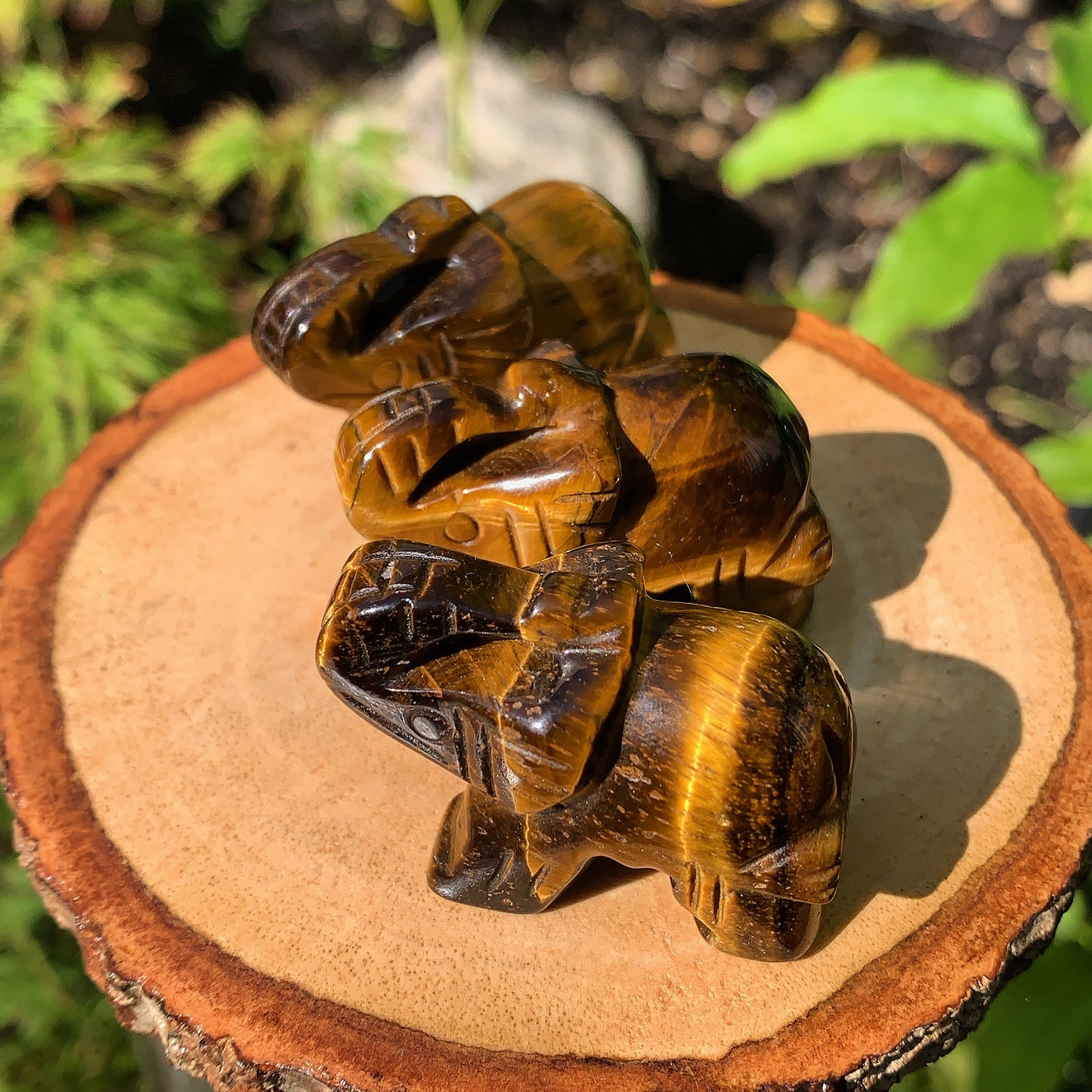 Tigers Eye Elephant