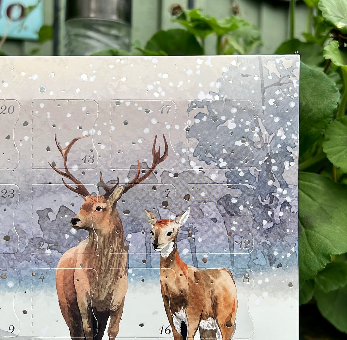 Crystal Christmas Advent Calendar