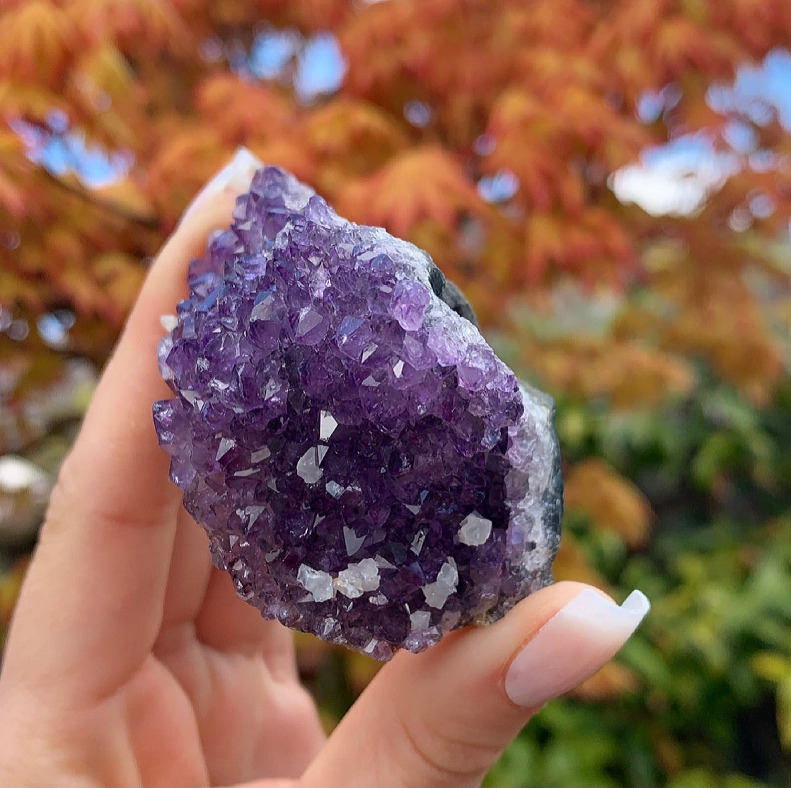 Raw Amethyst Cluster
