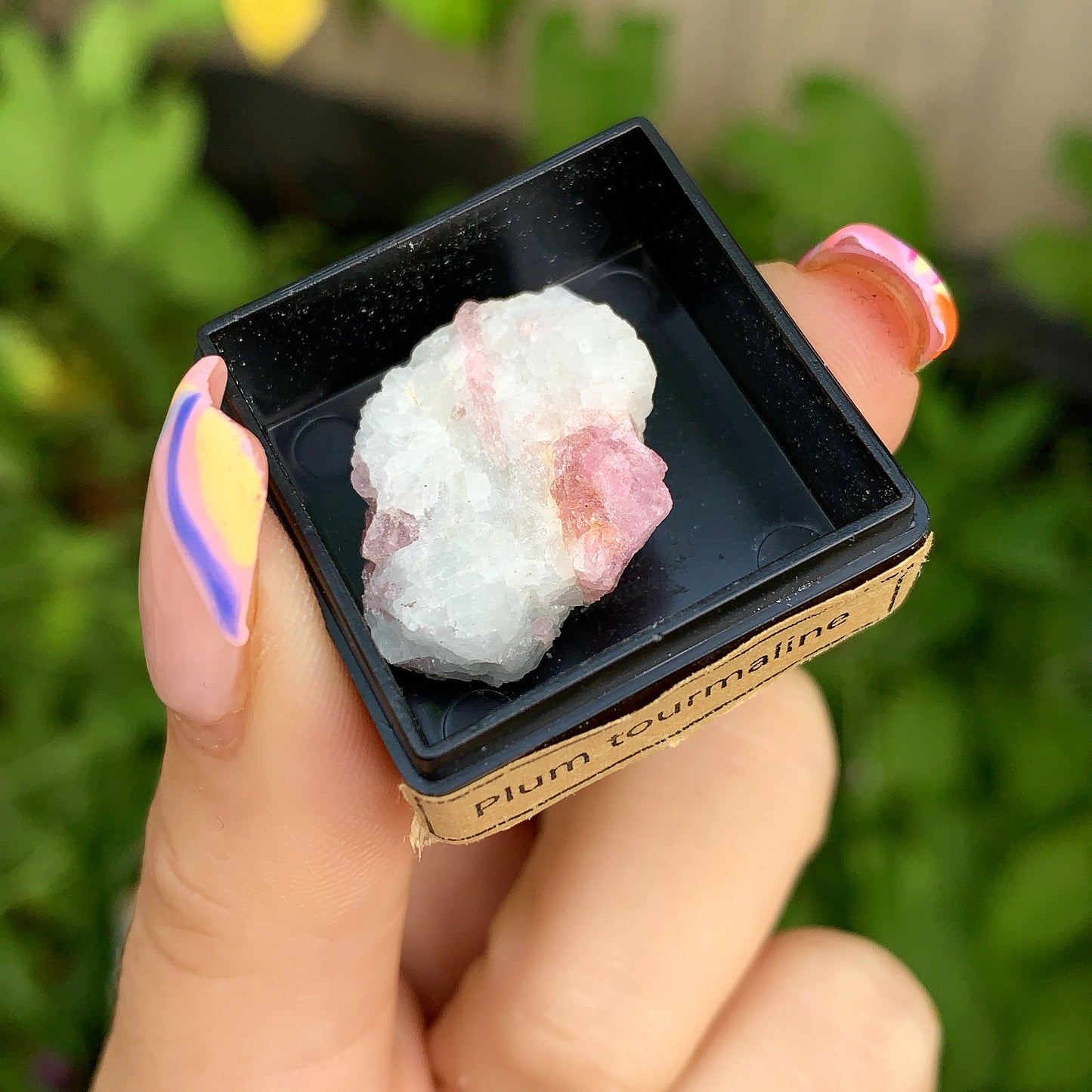 Ancient Specimen Fossil & Crystal Gift Box