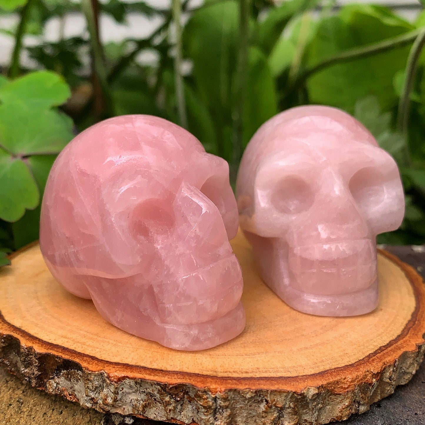 Rose Quartz Skull