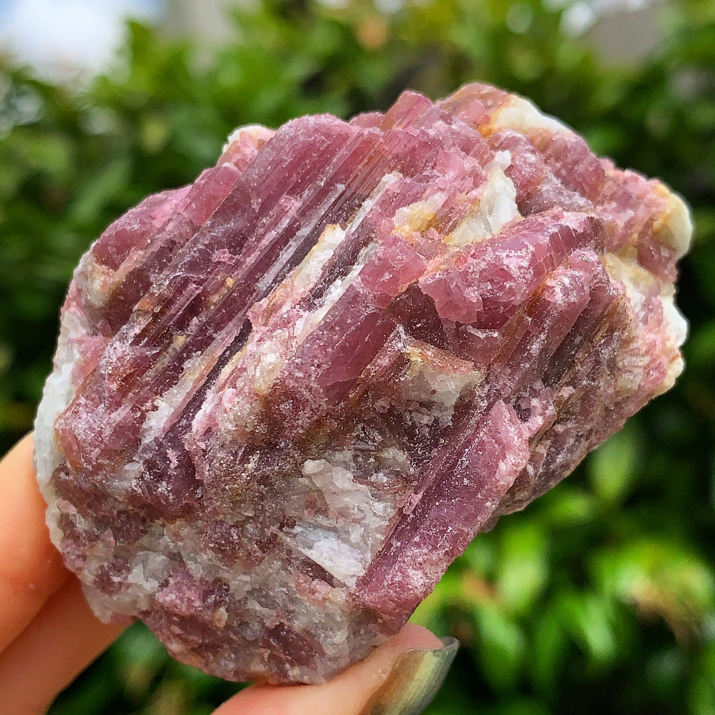 Raw Pink Tourmaline #4