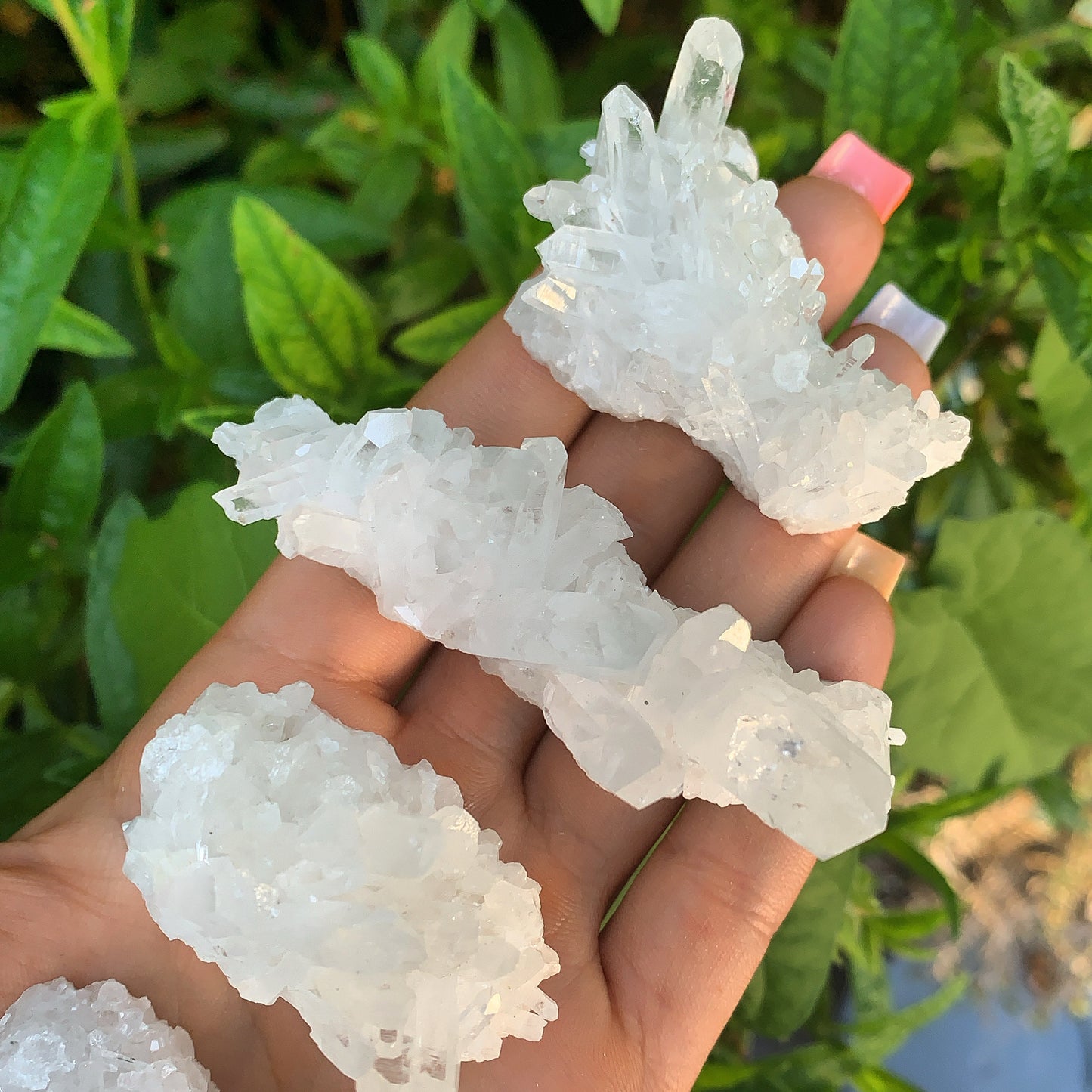 Enchanting Clear Quartz Mini Cluster