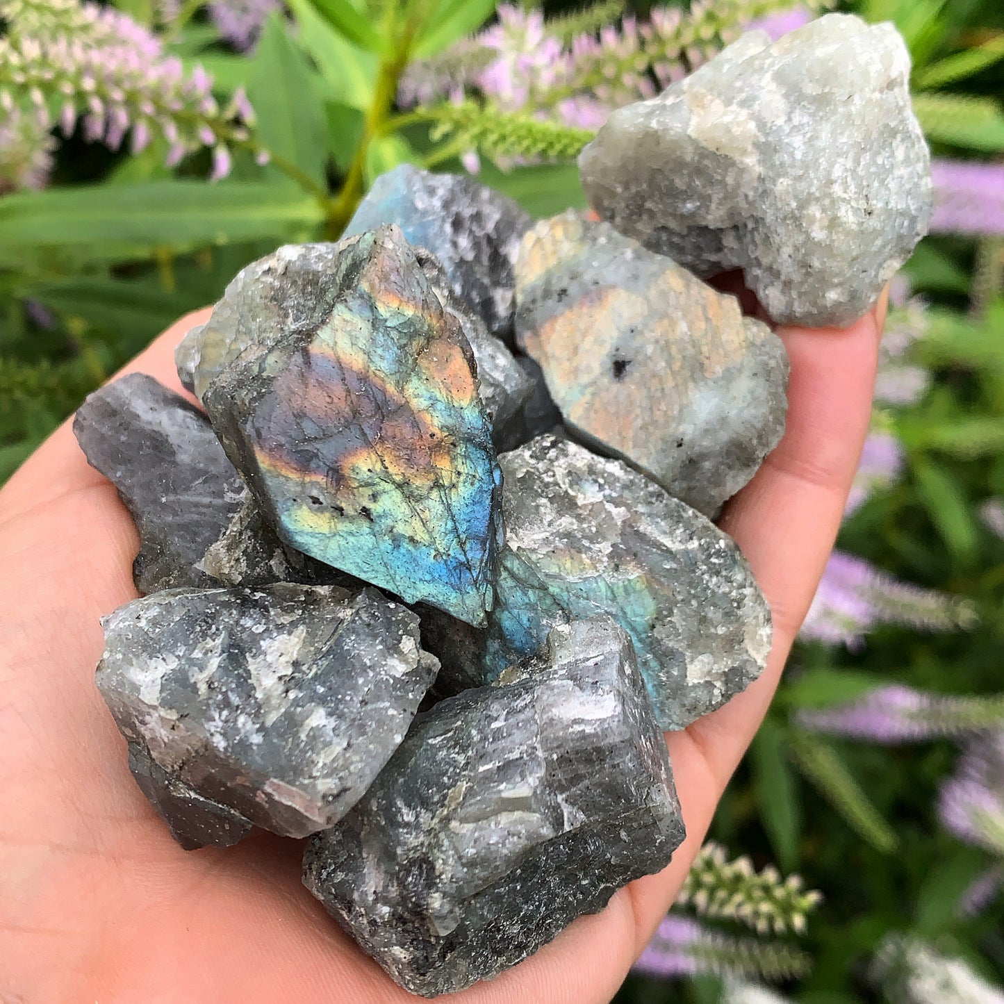 Labradorite