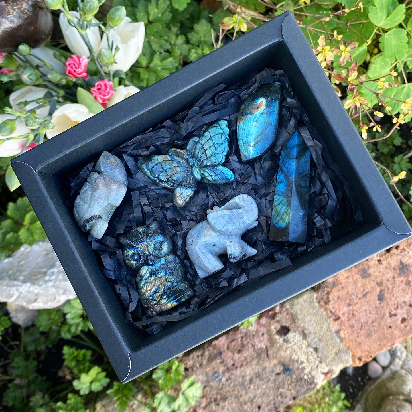 Labradorite Crystal Gift Box