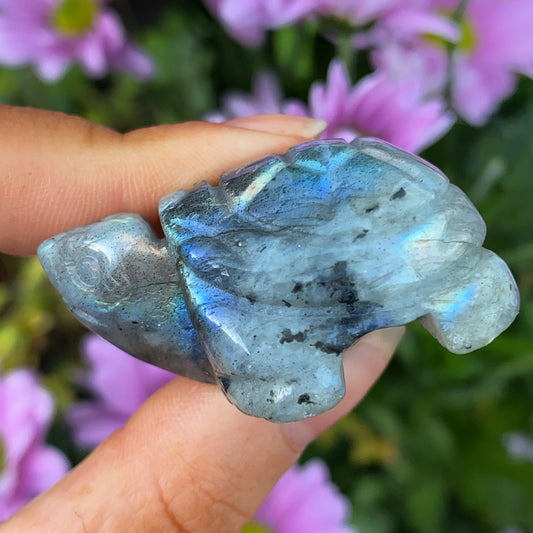 Labradorite Tortoise