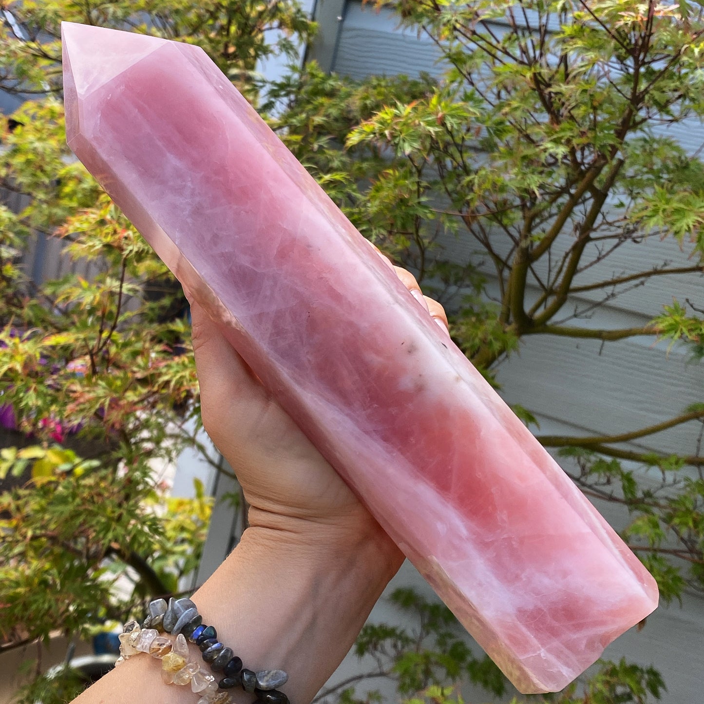 Extra Large Madagascar Rose Quartz Tower