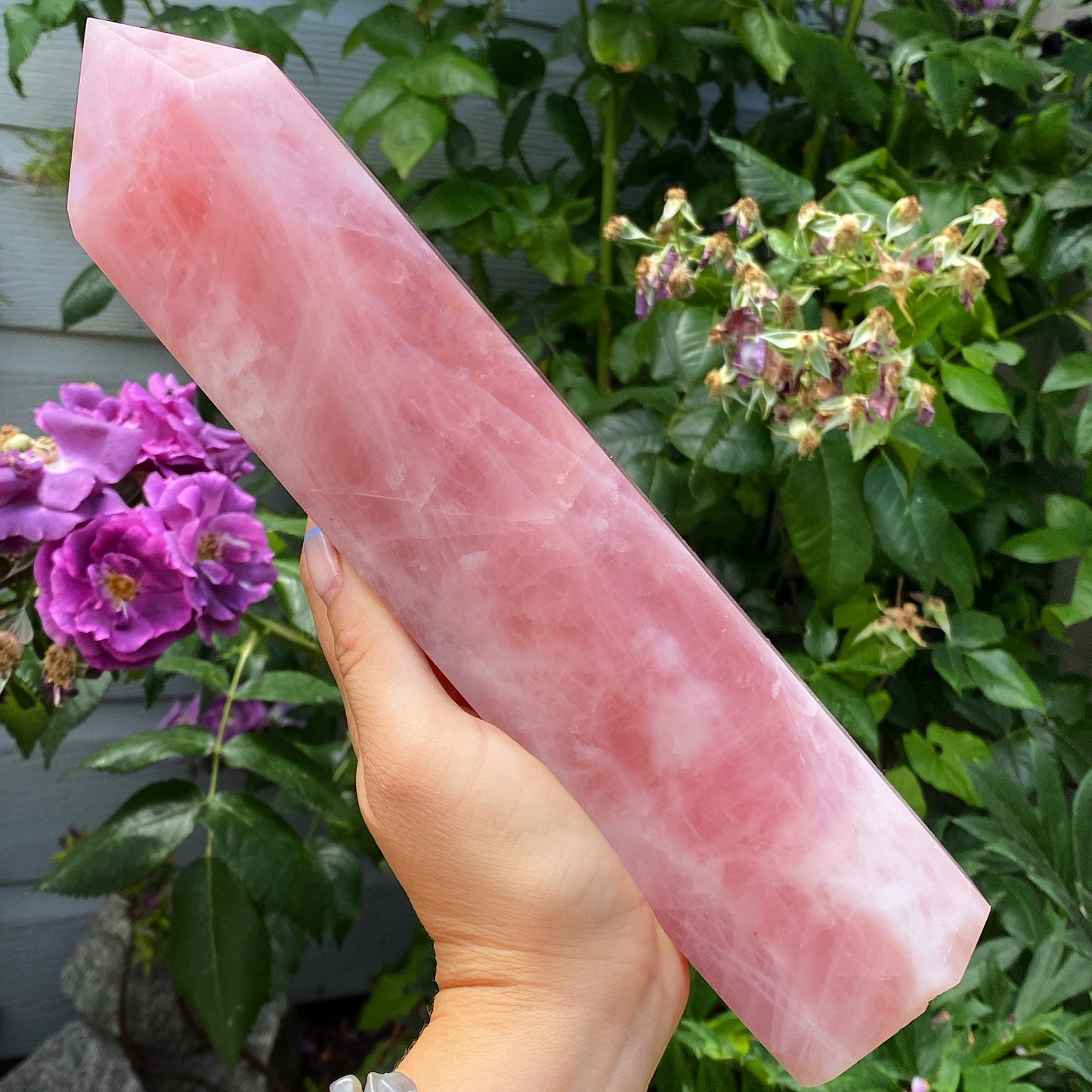 Extra Large Madagascar Rose Quartz Tower