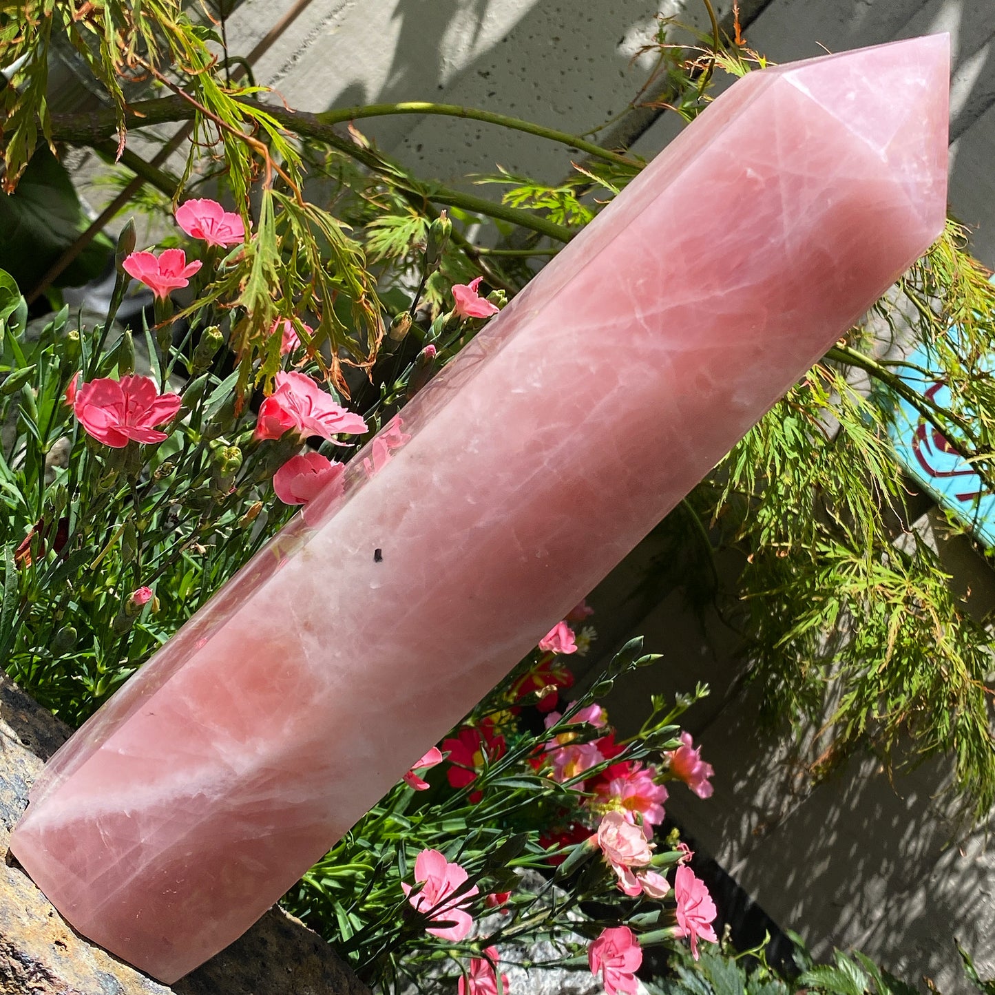 Extra Large Madagascar Rose Quartz Tower