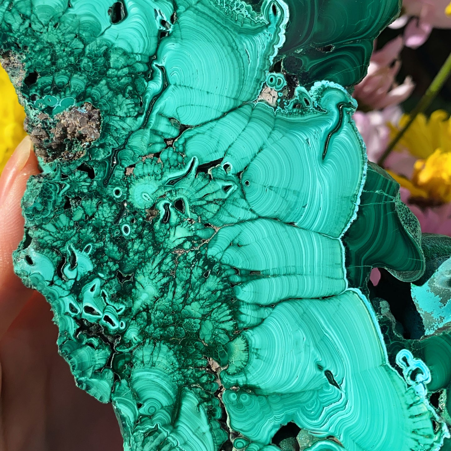 High Grade Malachite Slab - 642g