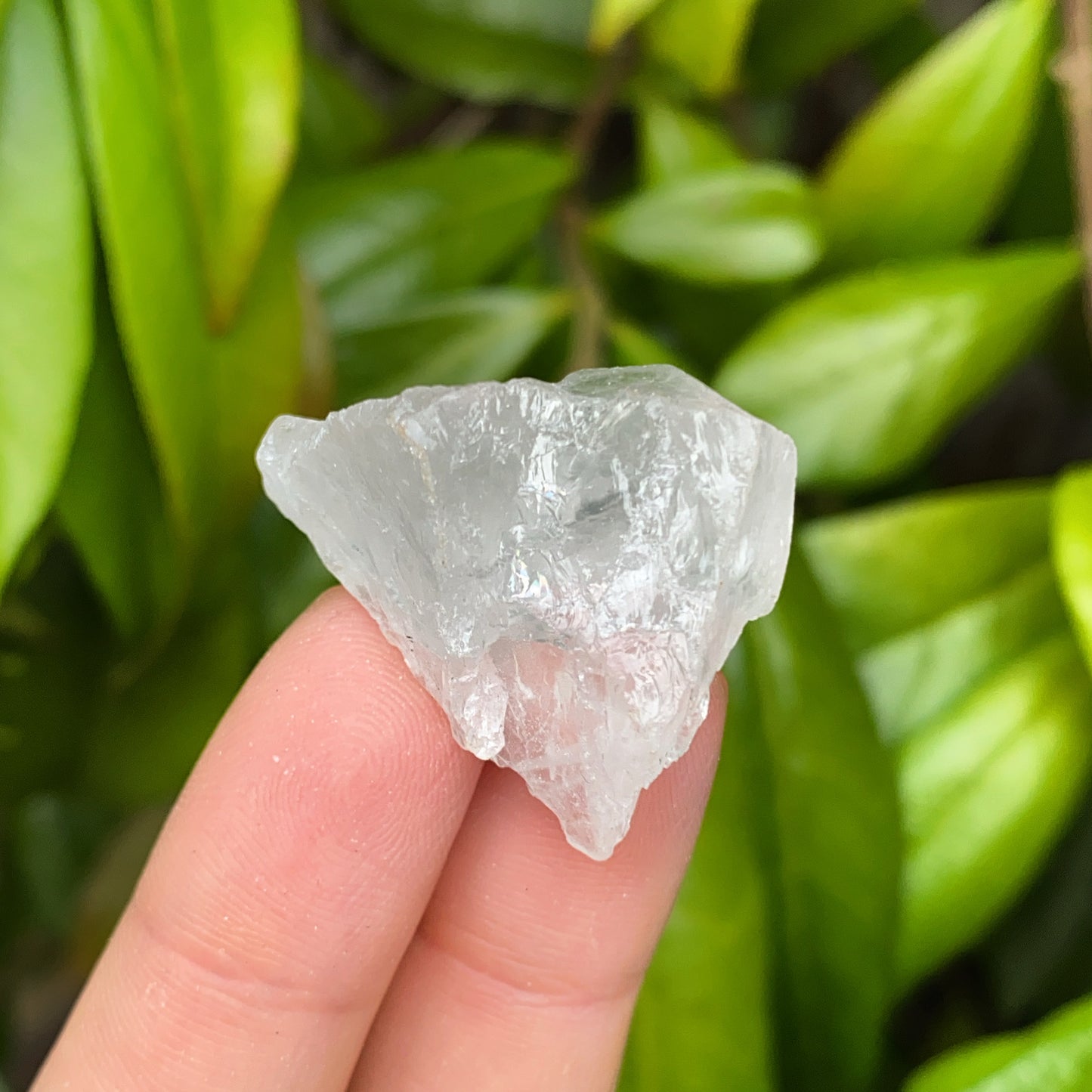 Mini Clear Quartz Rough Crystal