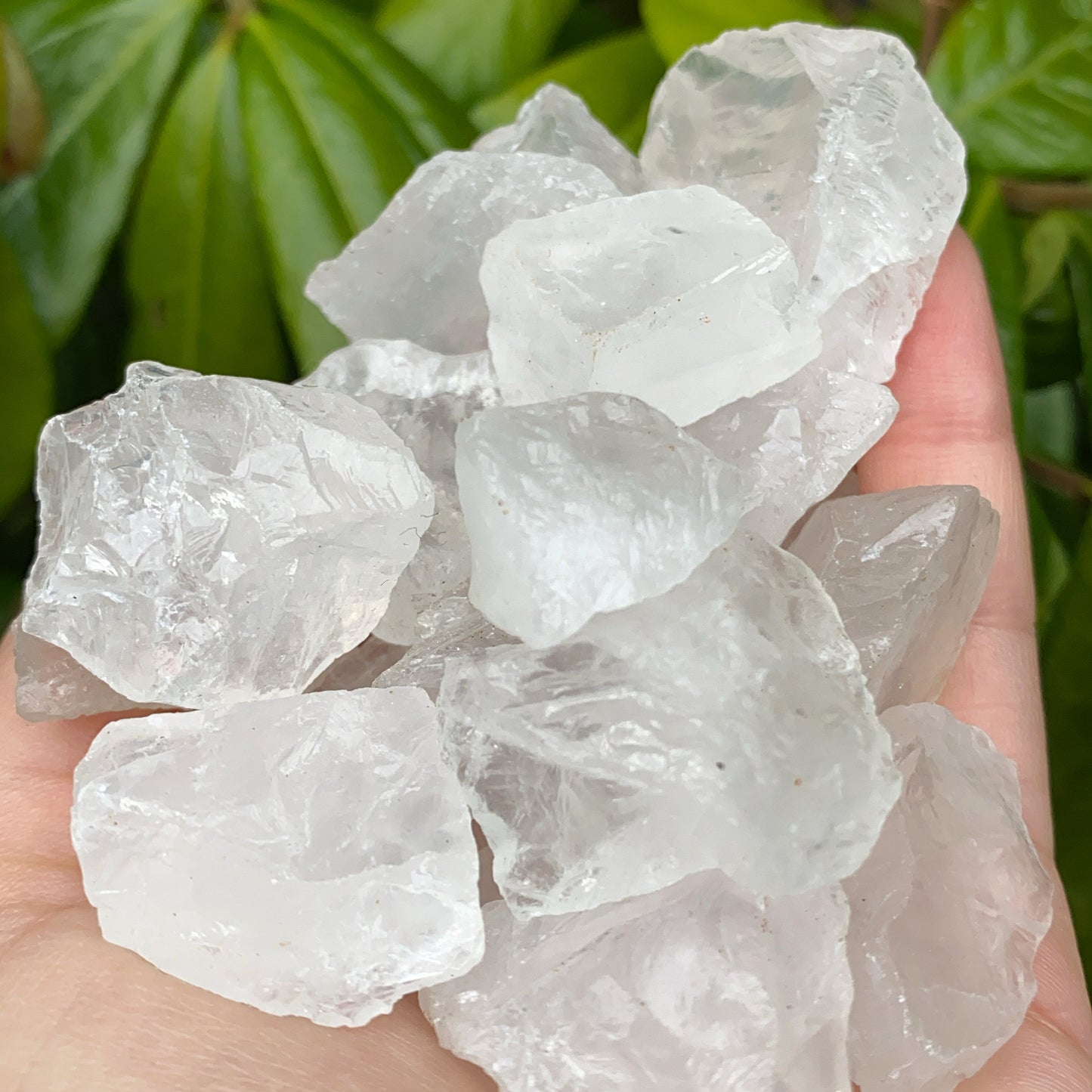 Mini Clear Quartz Rough Crystal