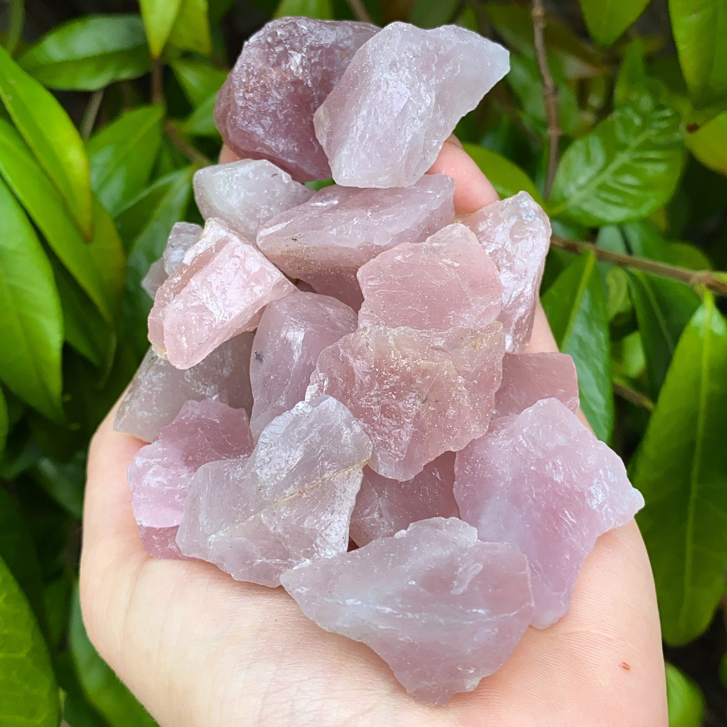 Mini Rose Quartz Rough Crystal