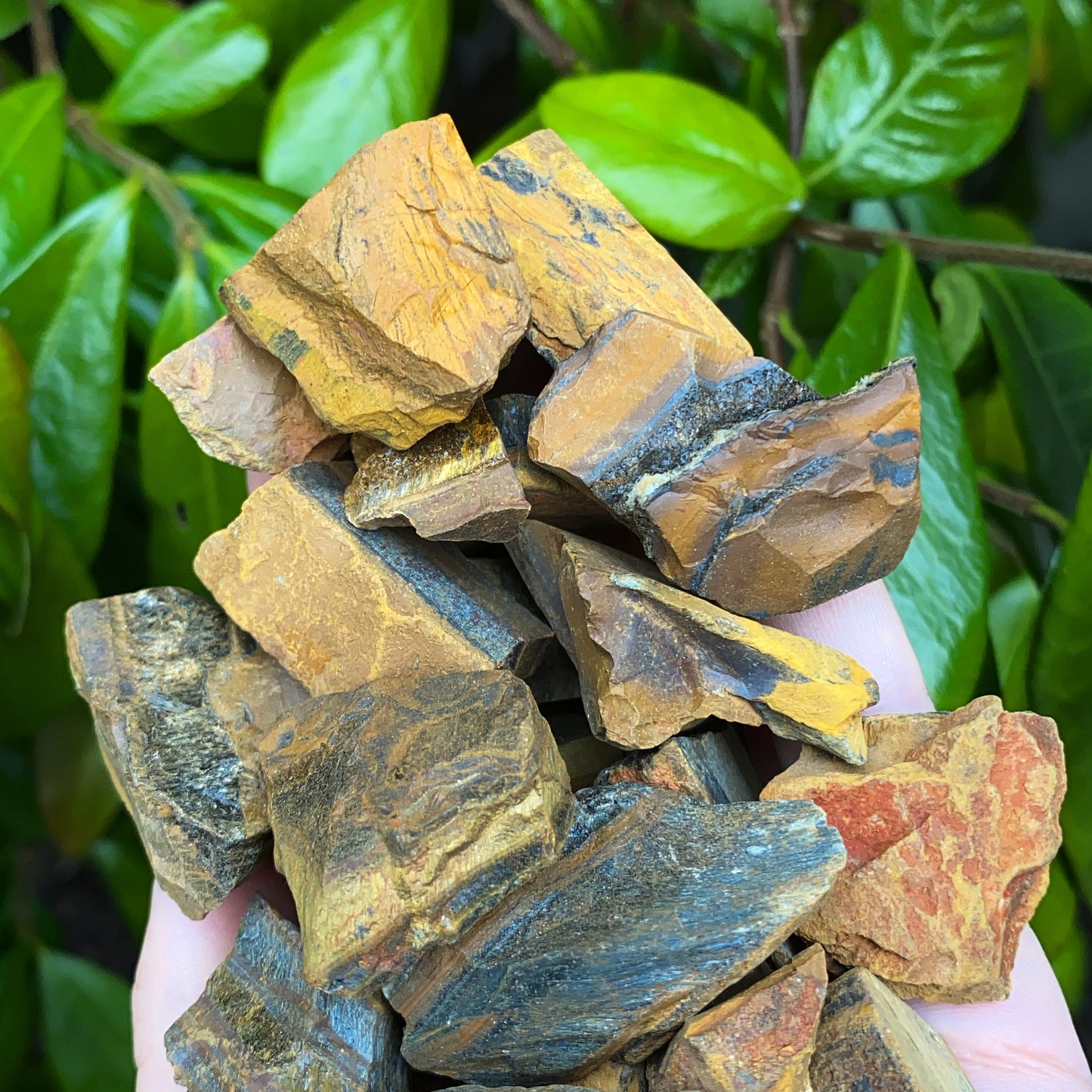 Mini Tigers Eye Rough Crystal